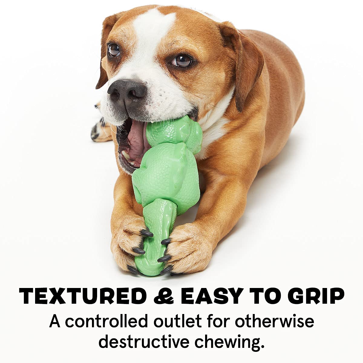 Barkbox Super Chewer Tough Dog Chew Toys For Aggressive Chewers, Dental Stimulating (Iguana - Large)