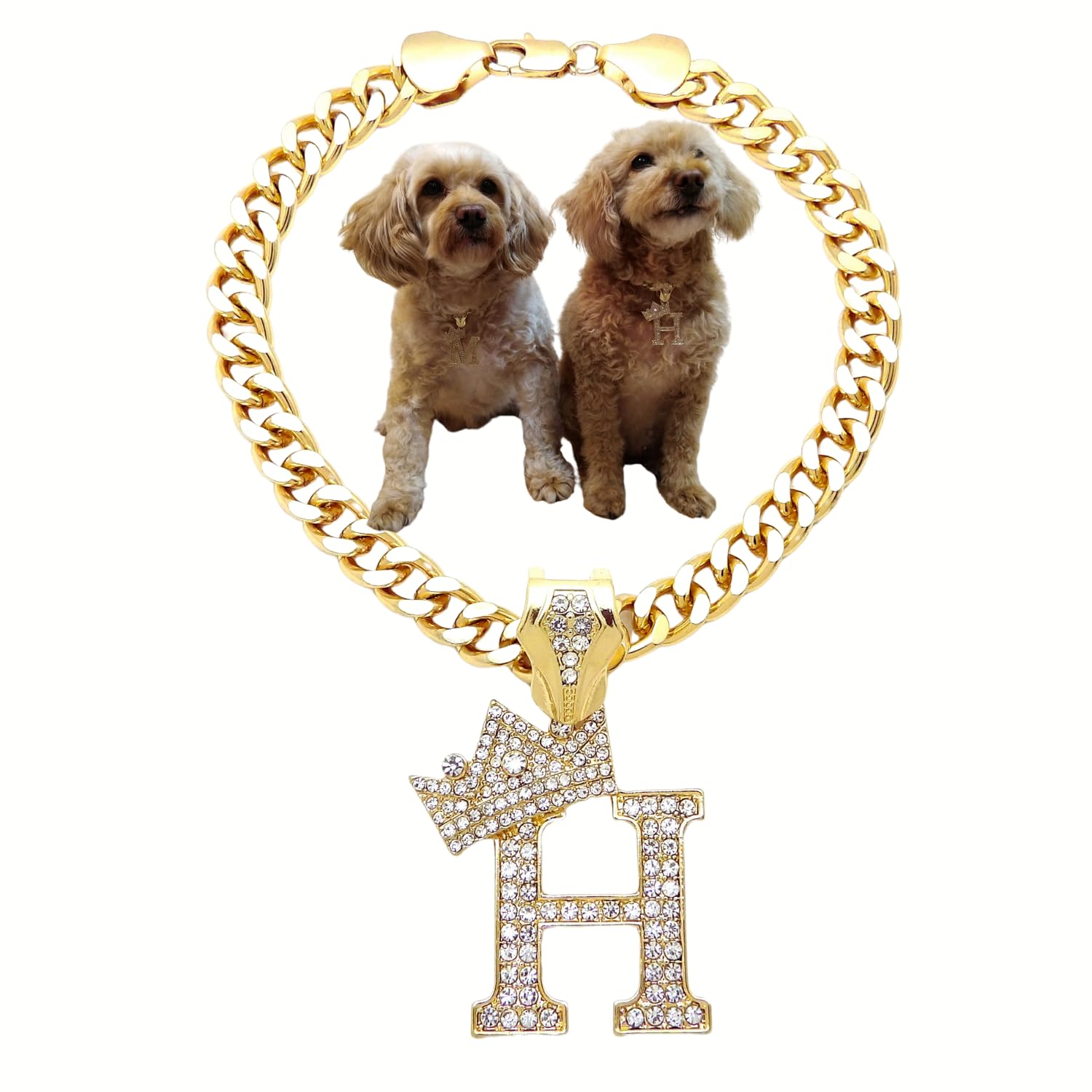 Initial Letter Cuban Chain Dog Chain Pet Chain Pet, Cat, Puppy Necklace (H, 18'')