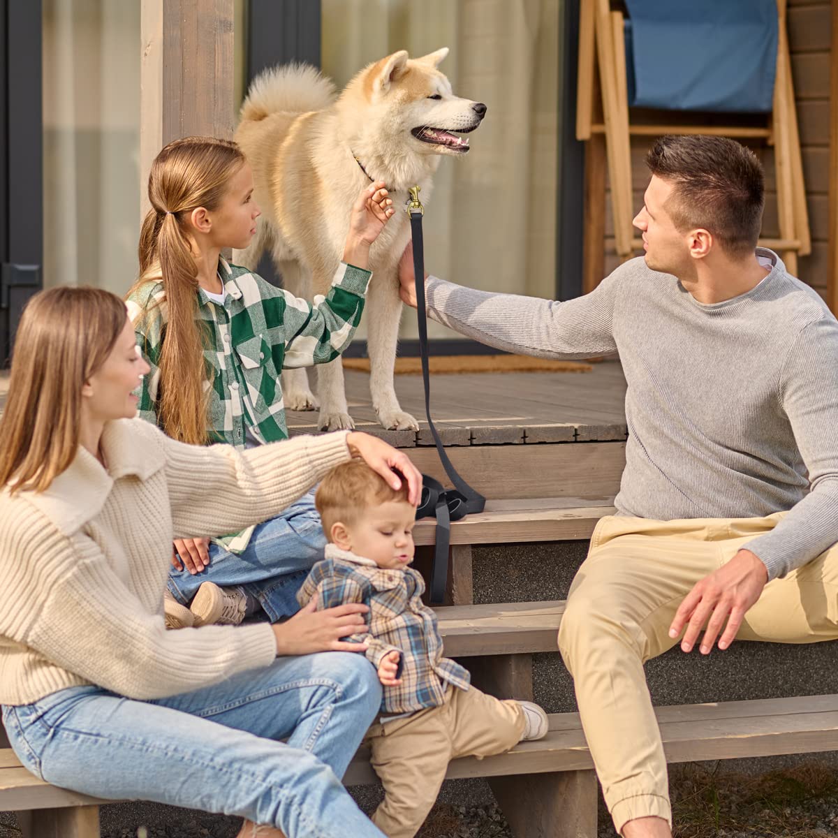 Viper Biothane Working Lead For Dogs 4Ft Black