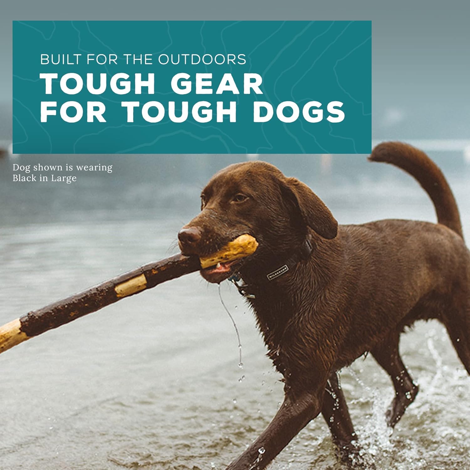 Wilderdog Waterproof Dog Collar - Repels Water & Dirt - Medium 13''-18'' - Black