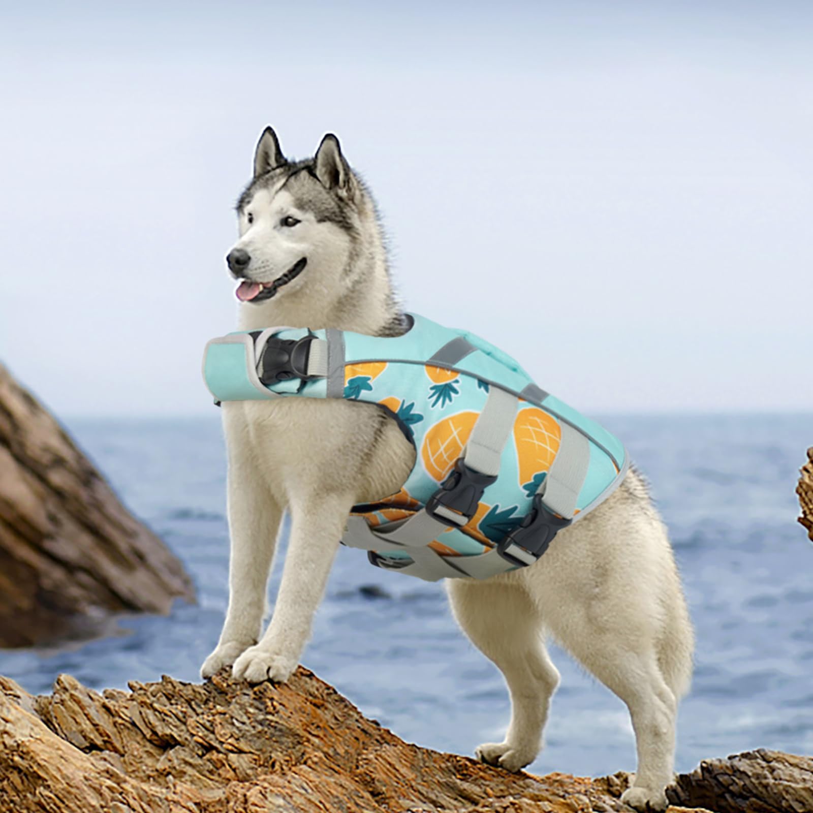 Kuoser Dog Life Jacket Xl, Large Dog Life Vests For Swimming Boating, Reflective Dog Water Vest With High Flotation, Dog Swim Ve