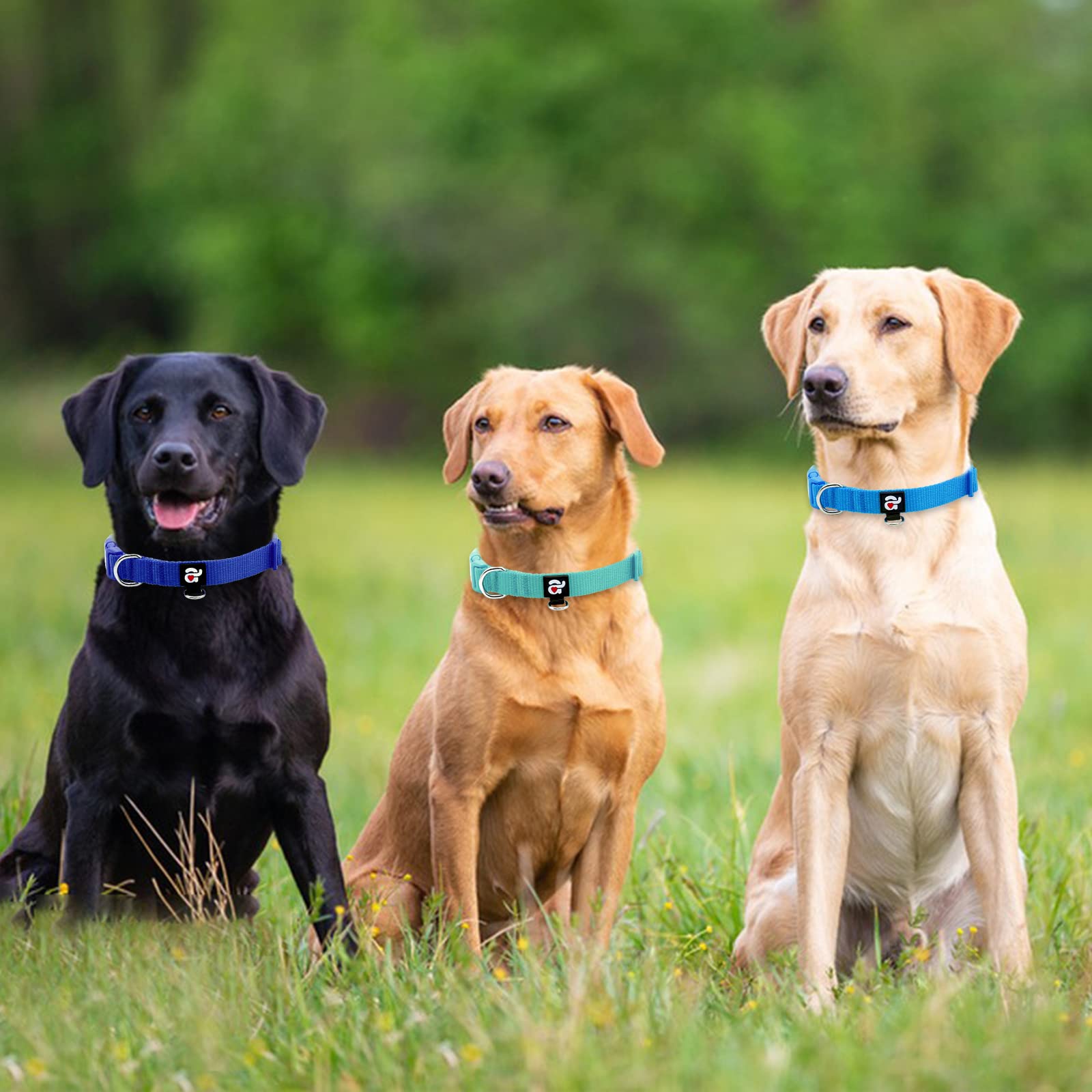 Azuza 3 Pack Dog Collars Comfortable And Adjustable Nylon Dog Collars For Medium Dogs, M (14-20Inch),Green, Blue And Royal Blue