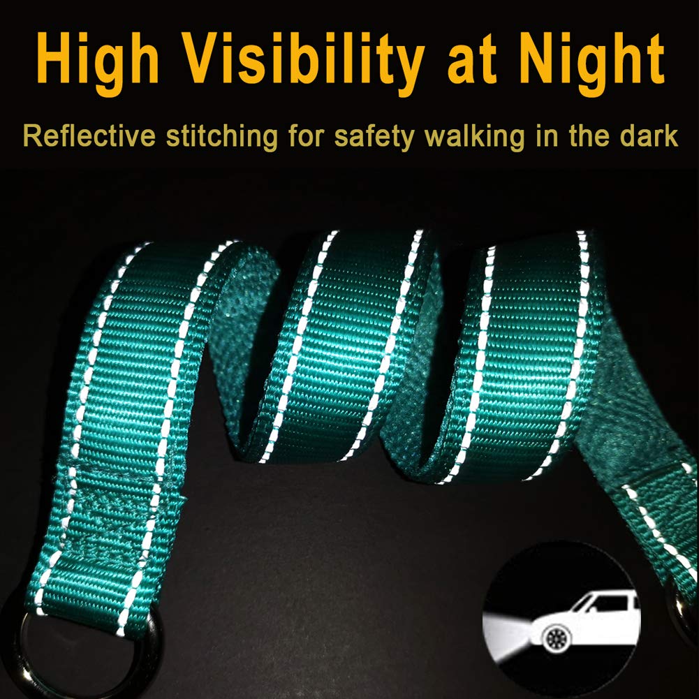 Mycicy Reflective Dog Choke Collar, Soft Nylon Training Slip Collar For Dogs (5/8' W X 15.5' L, Turquoise)