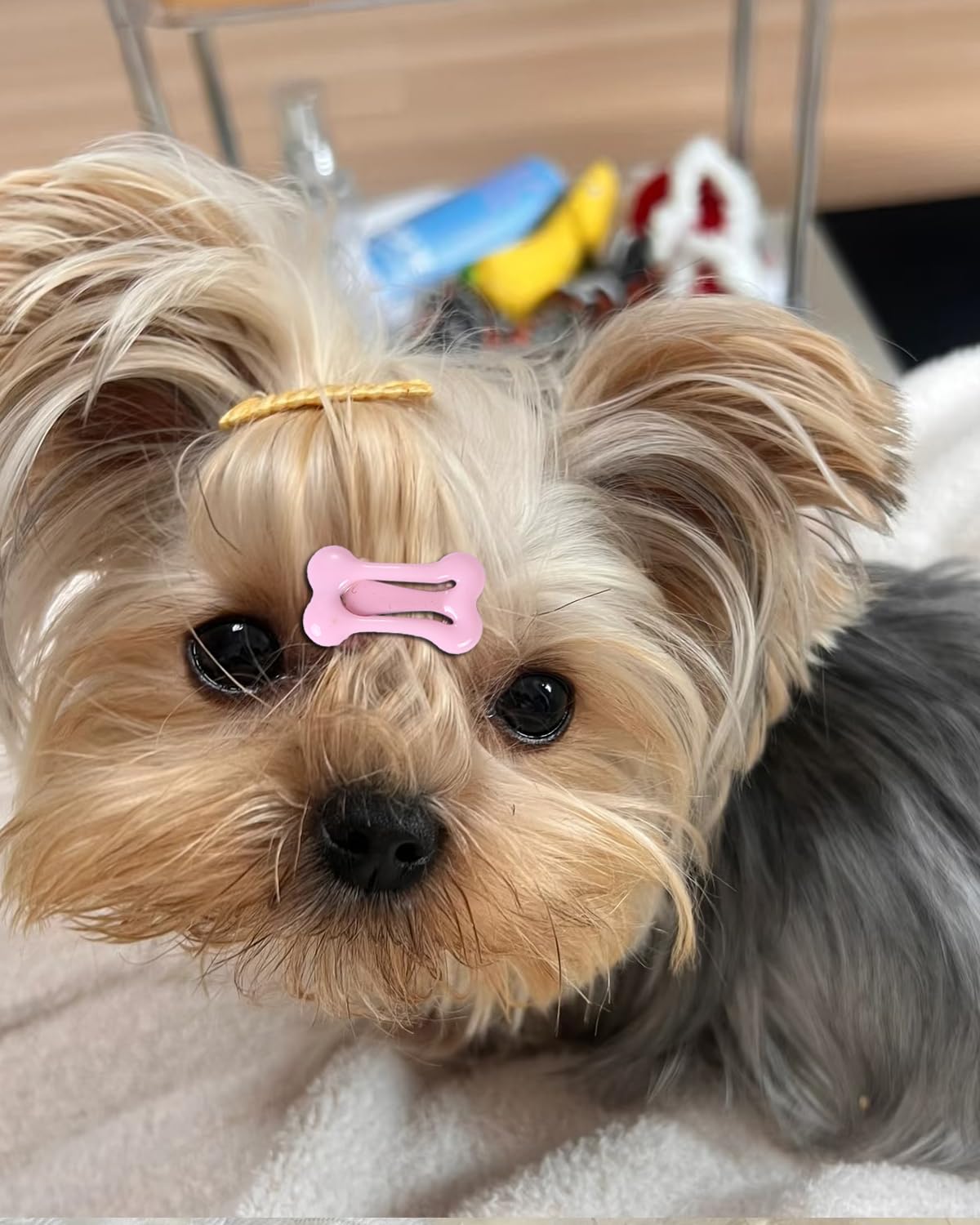 Dog'S Hair Bows Clips,Small Handmade Hair Accessories Bow Pet Puppy For Doggies Cat Kitten Rabbit Grooming Accessories (Mixcolor