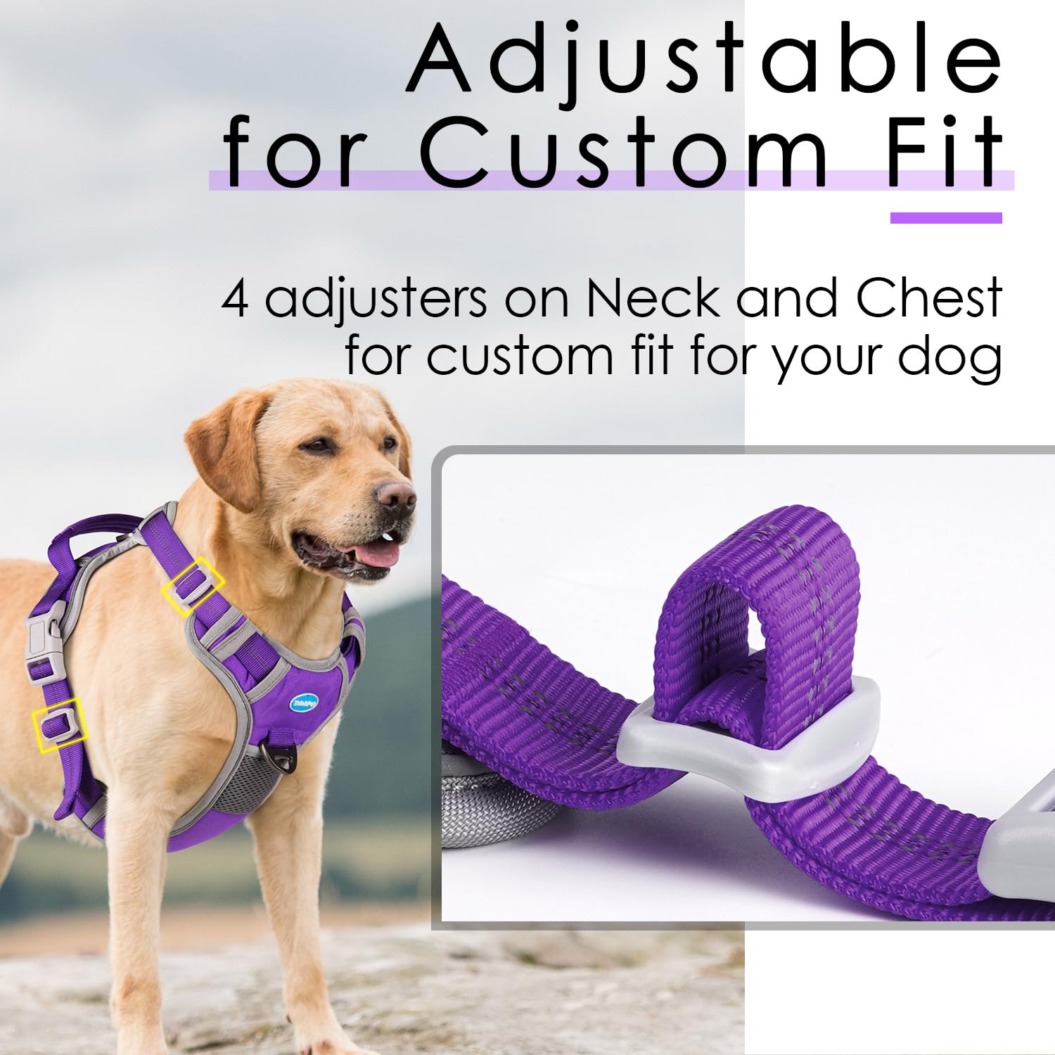 Thinkpet No Pull Harness Breathable Sport Harness With Handle-Dog Harnesses Reflective Adjustable For Medium Large Dogs,Back/Front Clip For Easy Control M Neon Purple