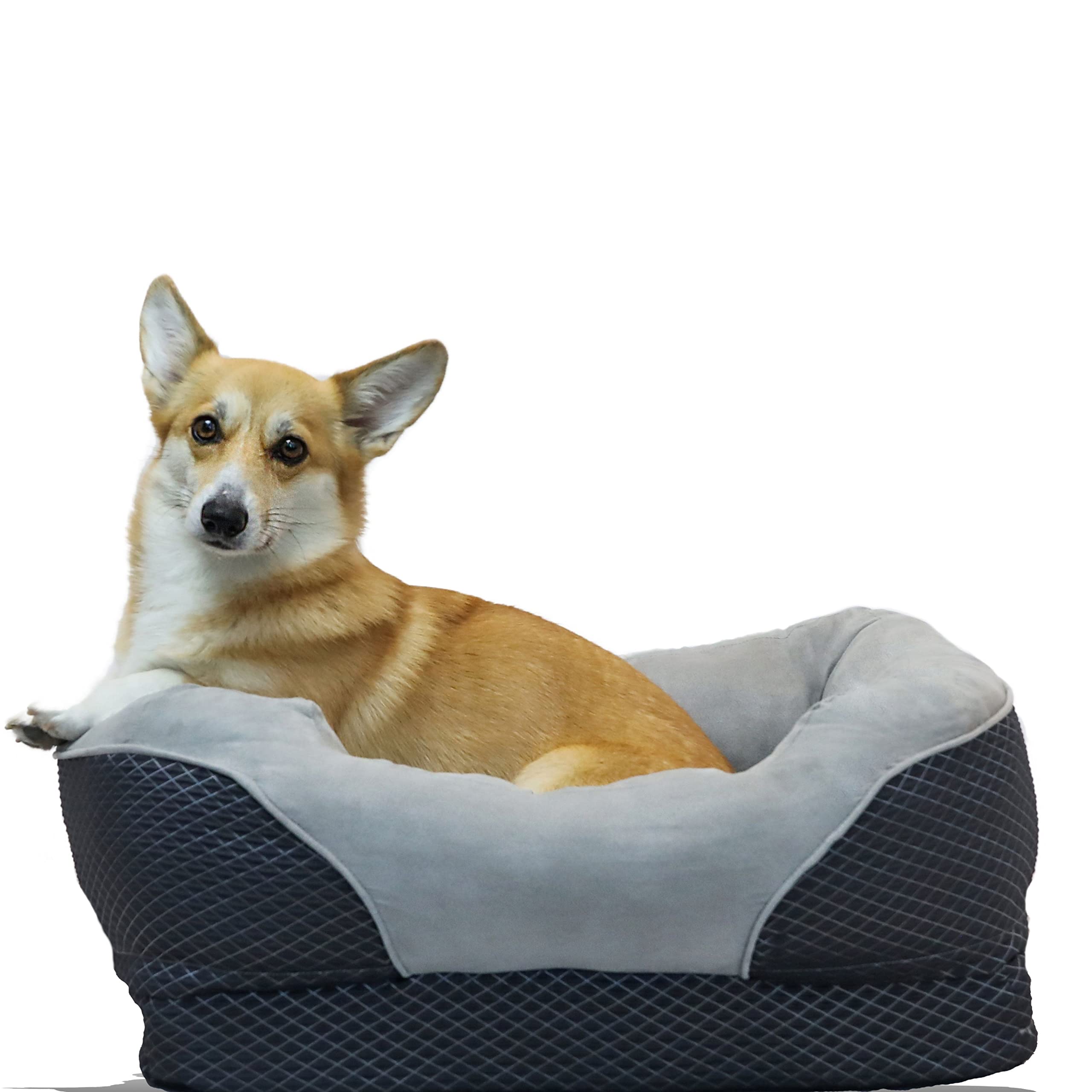 Barksbar Snuggly Sleeper Large Gray Diamond Orthopedic Dog Bed With Solid Orthopedic Foam, Soft Cotton Bolster, And Ultra Soft Plush Sleeping Space - 40 X 30 Inches