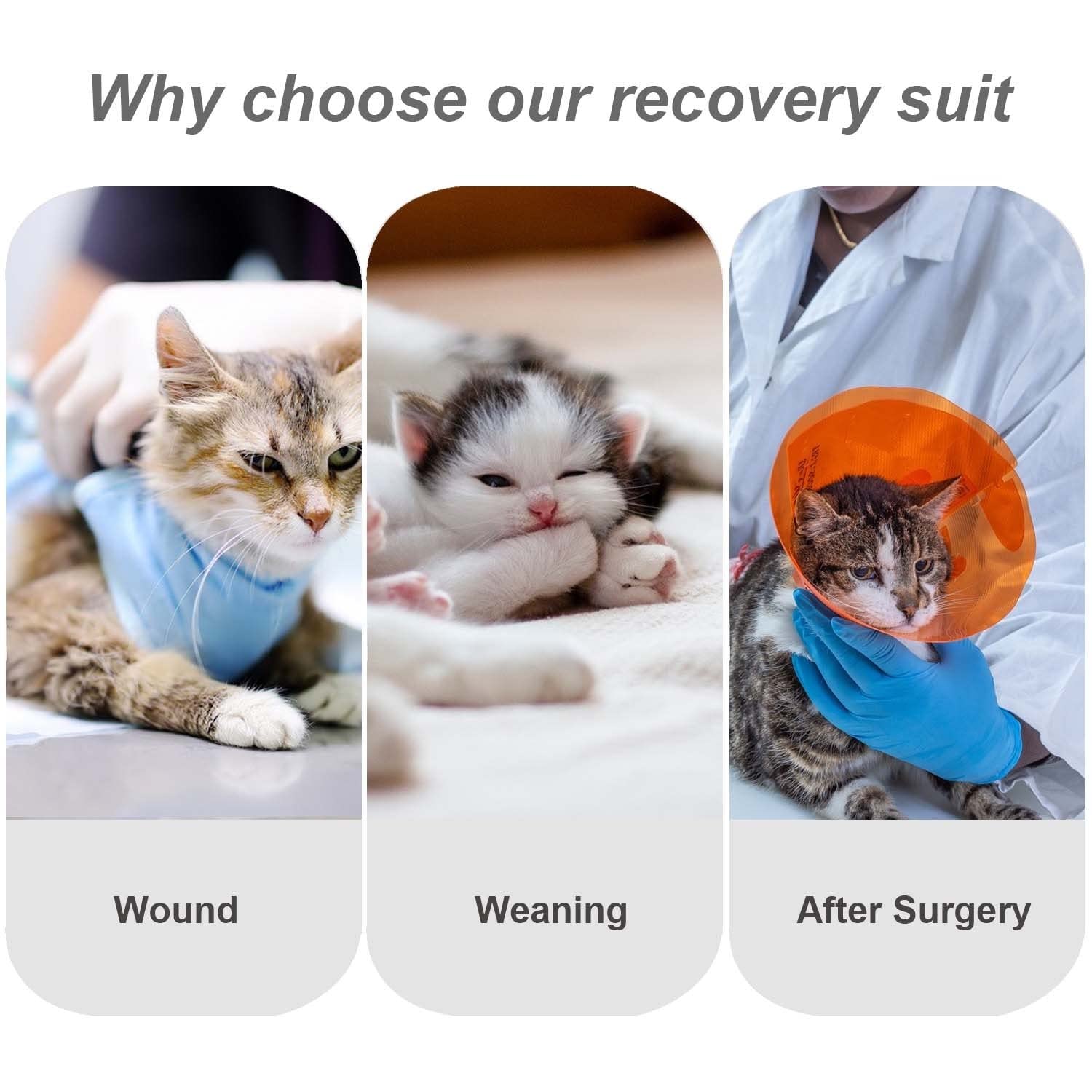Due Felice Cat Surgery Recovery Suit For Female Male Pets - Surgical Onesie After Spay Neuter - Anti-Licking Wounds Cone Alterna
