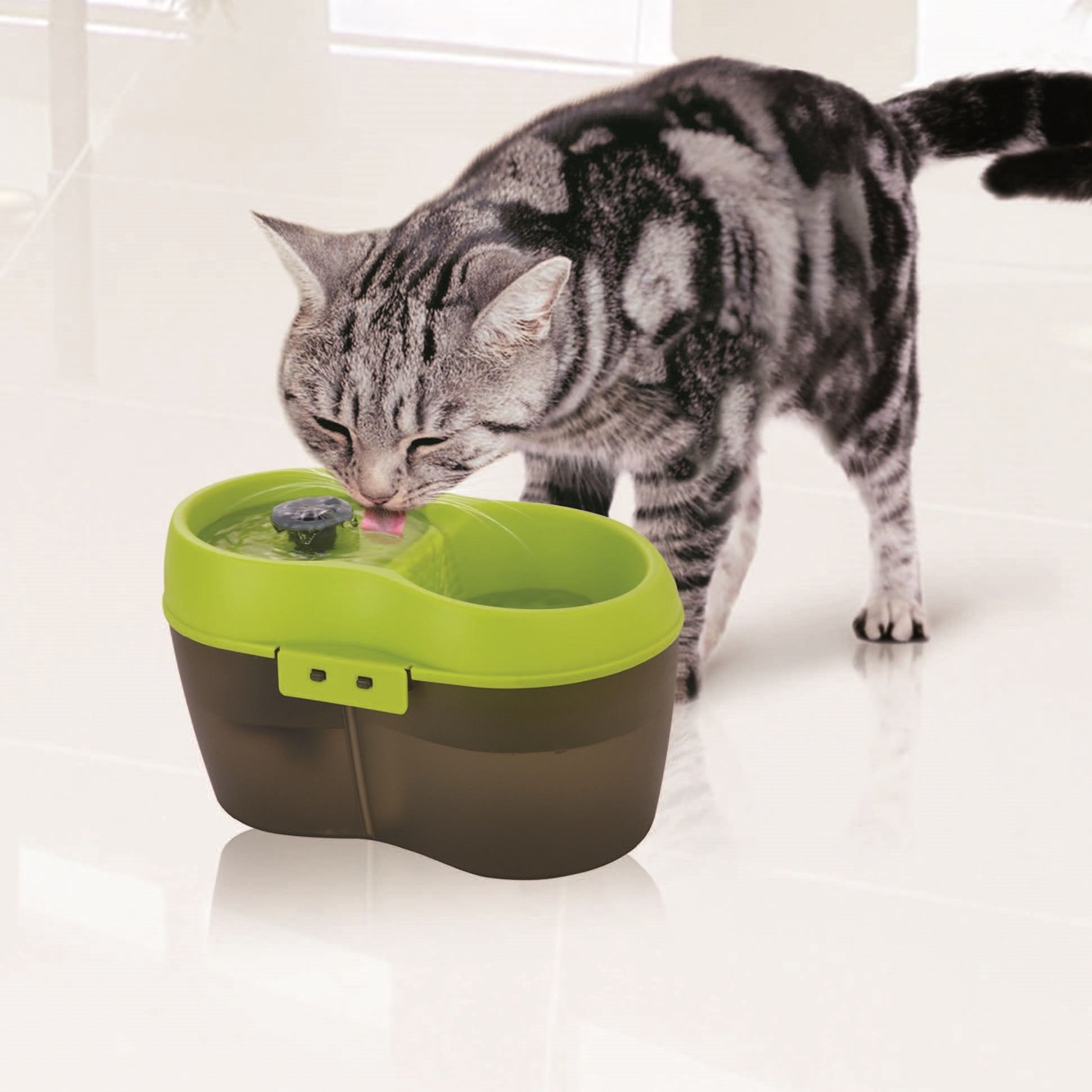 Cat H2O Filtered Cat Water Fountain 67 Fl. Oz/2.1 Quart With Filter & Dental Care Tablet, Lime Green/Translucent Black