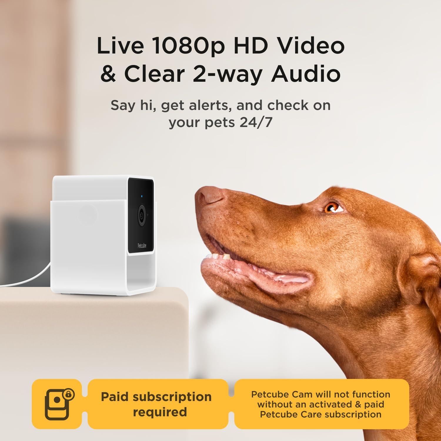 Petcube Cam And Care Coverage Subscription | Indoor Wi-Fi Pet And Security Camera With Phone App, Cats And Dogs Monitor With 2-W