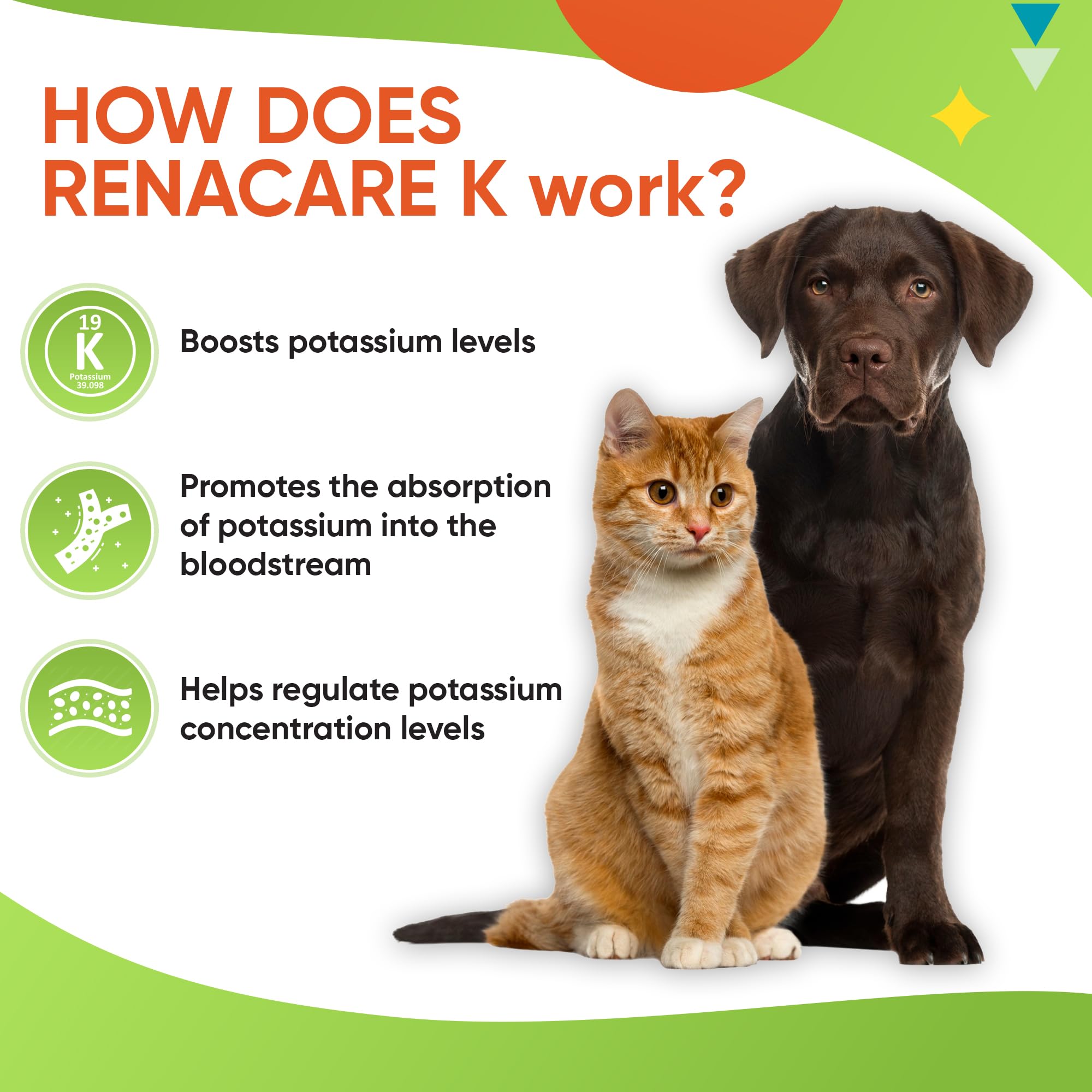 RenaCare K is for Renal K (Potassium Gluconate) Potassium Supplement Powder for Dogs and Cats, (4 oz) with Chicken Liver Flavor