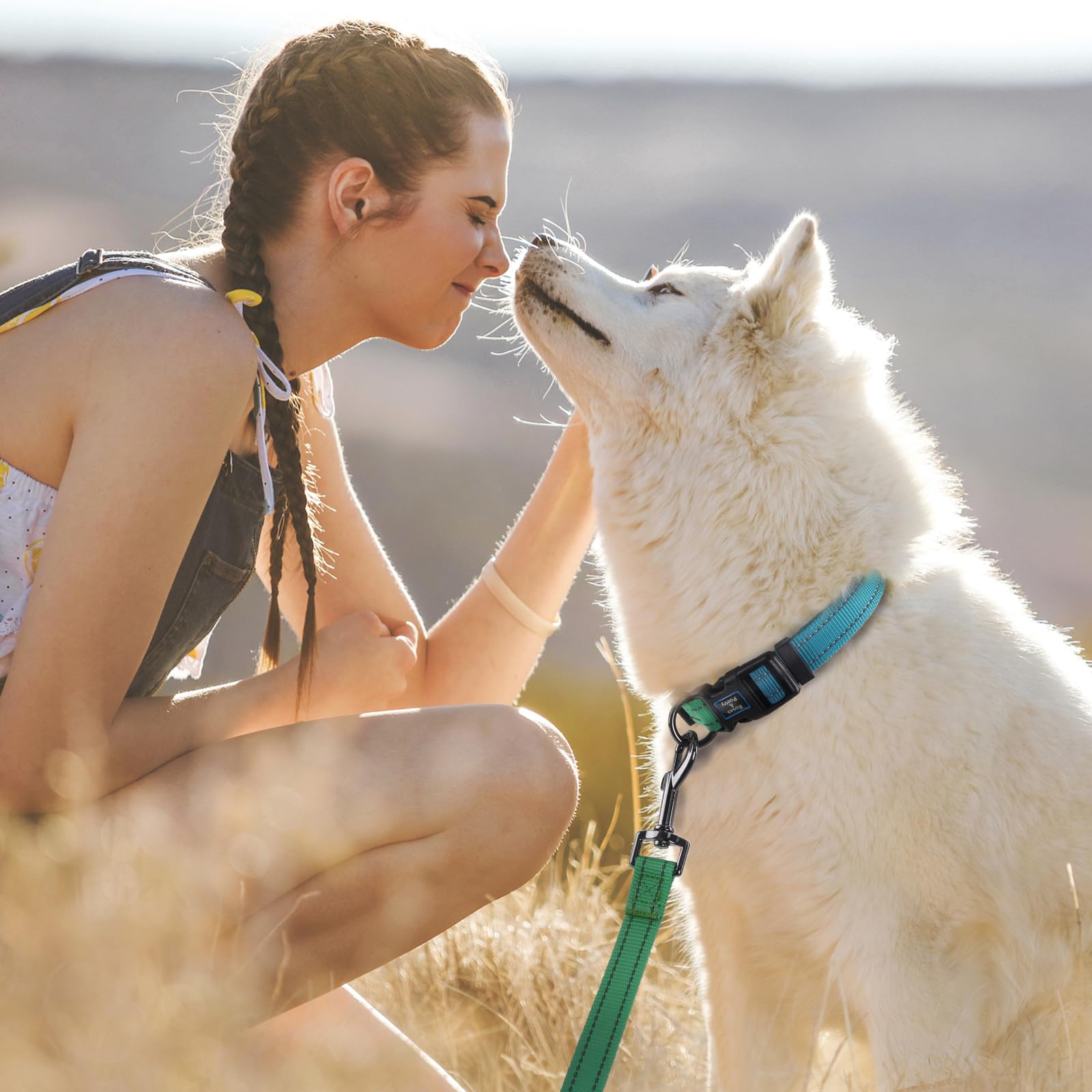 Roses&Poetry Bluegreen Medium Dog Collar And Leash Set, Puppy Reflective Leashes With Collars, Adjustable Durable Matching Colla