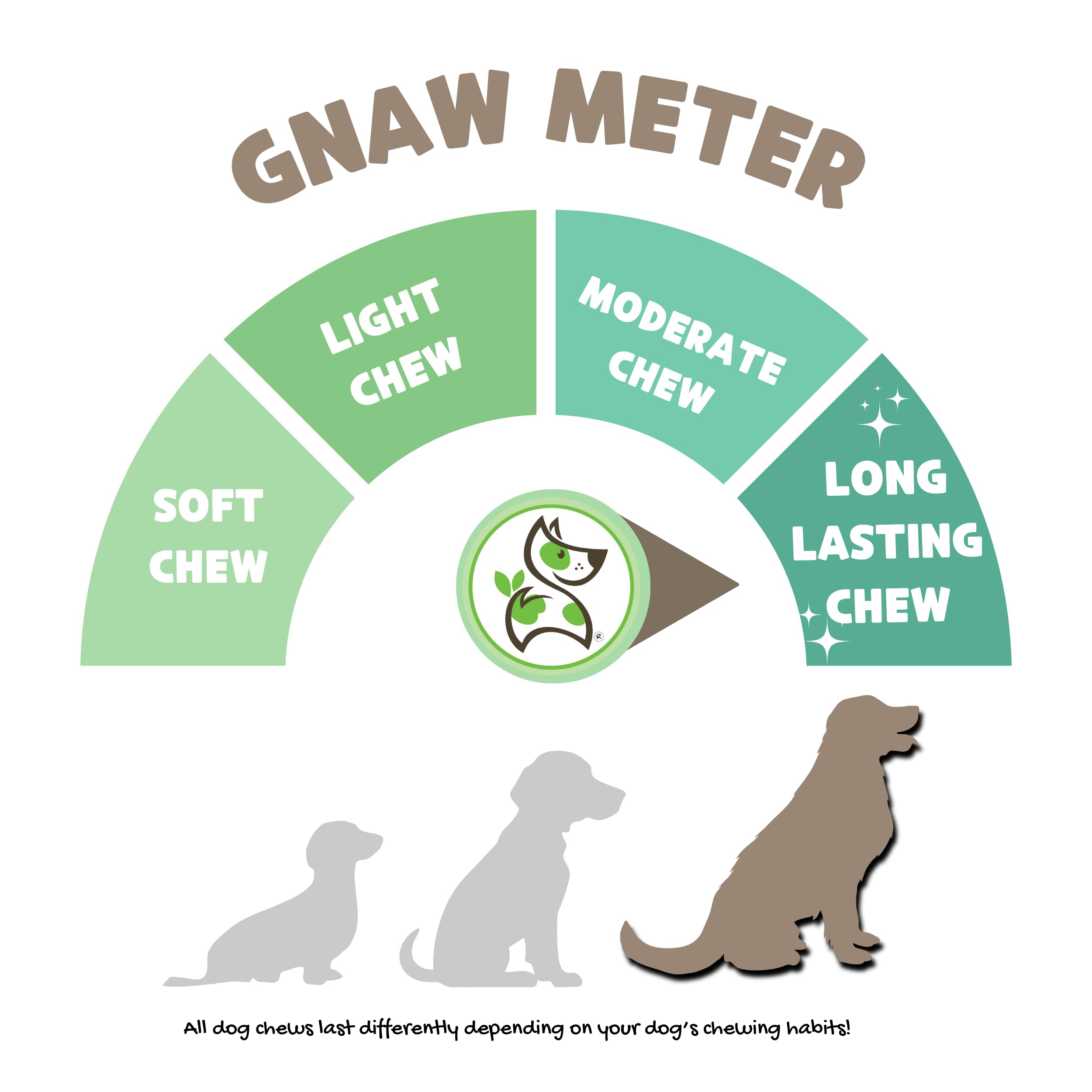 Nature Gnaws Large Bully Sticks for Dogs 11-12 (10 Count) - Thick Long Lasting for Aggressive Chewers and Large Dogs - Natural B