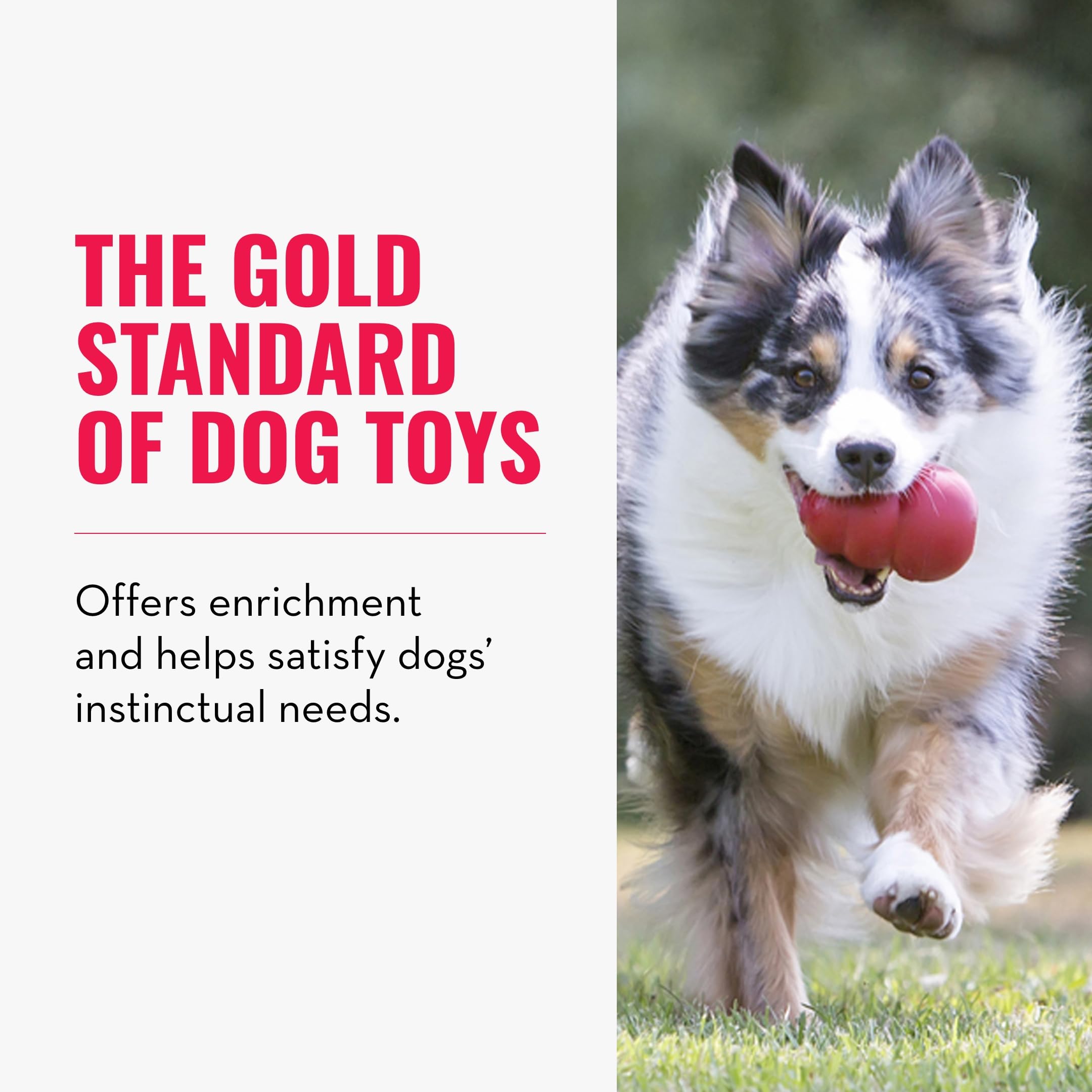 Kong Classic Stuffable Dog Toy - Fetch & Chew Toy For Dogs - Treat-Filling Capabilities & Erratic Bounce For Extended Play Time - Durable Natural Rubber Material - For Small Dogs