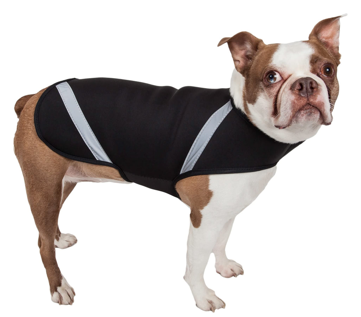 Pet Life Extreme Softshell Neoprene Dog Coat - Dog Jacket with Reflective Taping and Dog Rash Guard Protection for Small Medium Large Dogs