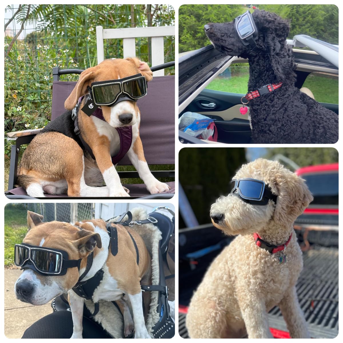 Billionchains Dog Goggles Large Breed, Large Dog Sunglasses Eye Protection For Dogs Windproof Goggles For Medium Large Dog Ridin