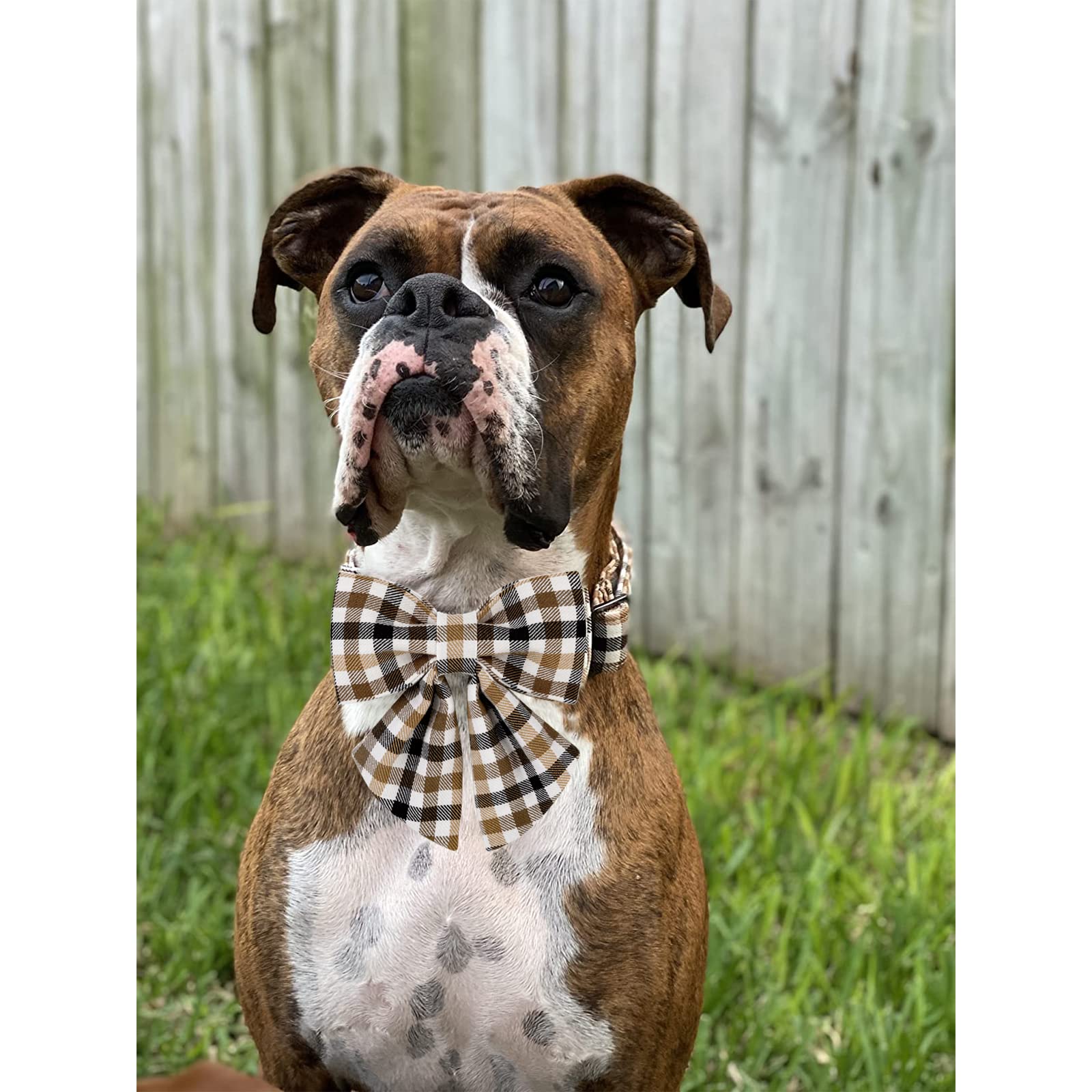 Unique Style Paws Christmas Dog Collar With Bow Tie Brown Plaid Puppy Collar For Small Medium Large Dogs As Autumn Winter Pet Gi