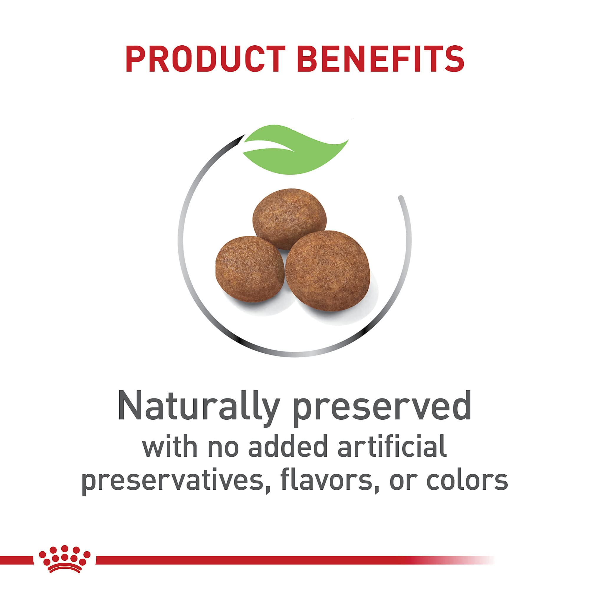 Royal Canin Size Health Nutrition Dry Large Breed Puppy Food, Supports Brain Development, Immune Support and Digestive Health, 3