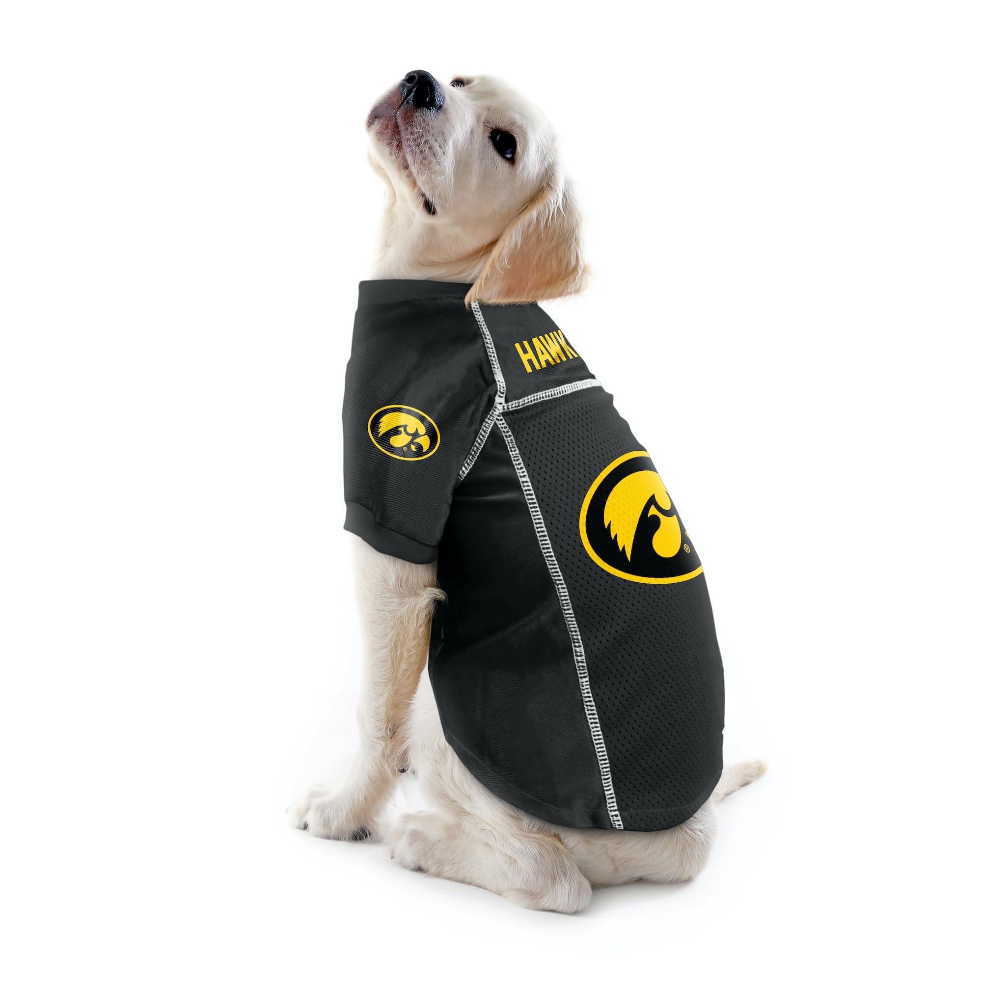 Littlearth Iowa Hawkeyes Ncaa Basic Pet Jersey