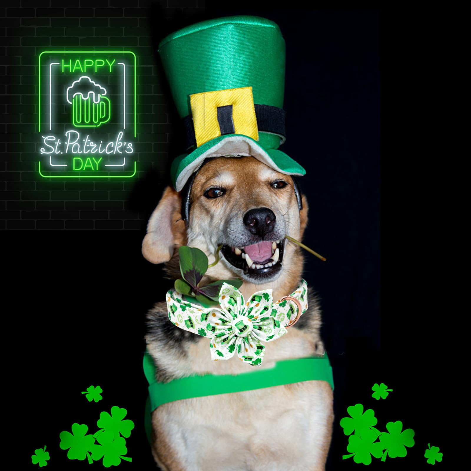 Lionheart Glory St. Patrick'S Day Collar With Flower Bows, Green Shamrock Clover Collar For X-Large Dogs