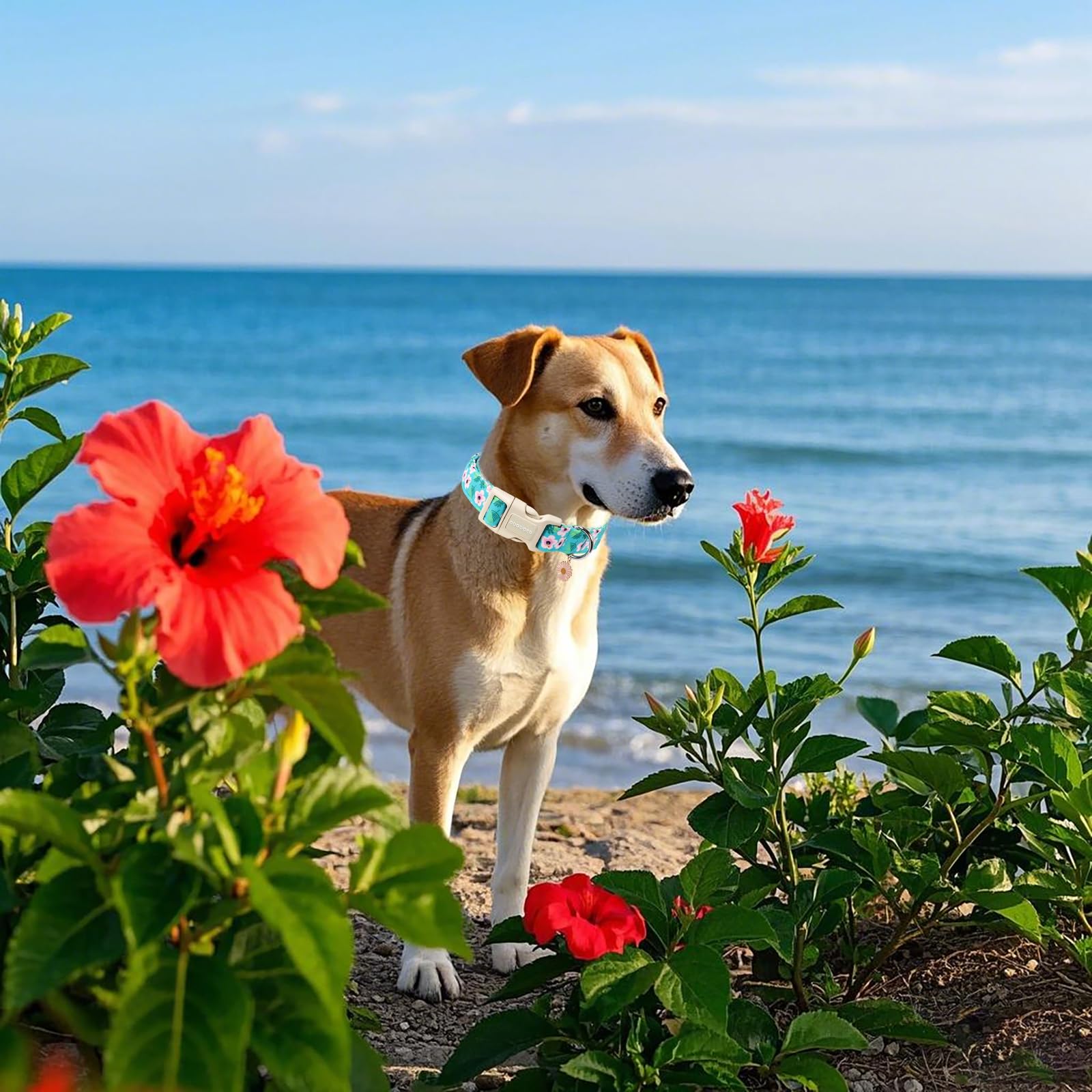 Dogwong Spring Floral Cotton Dog Collar, Pink Flower Dog Collar Durable Soft Fabric Pet Dog Collars Cute Beachy Girl Female Pupp