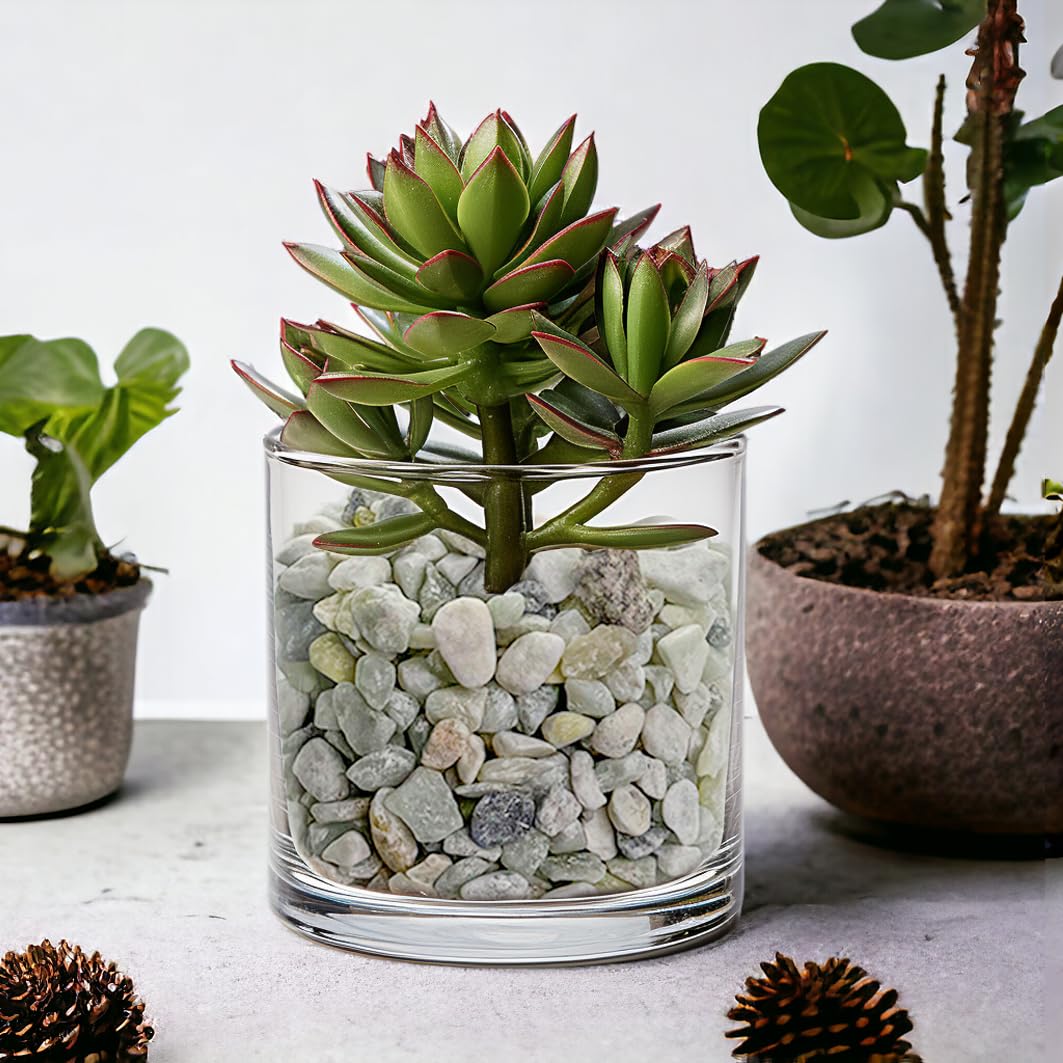 Small Natural Rocks Decorative Pebbles Tiny Gravel for Aquarium Gravels,Fish Turtle Tank,Soil Cover, Indoor Outdoor Garden Succu