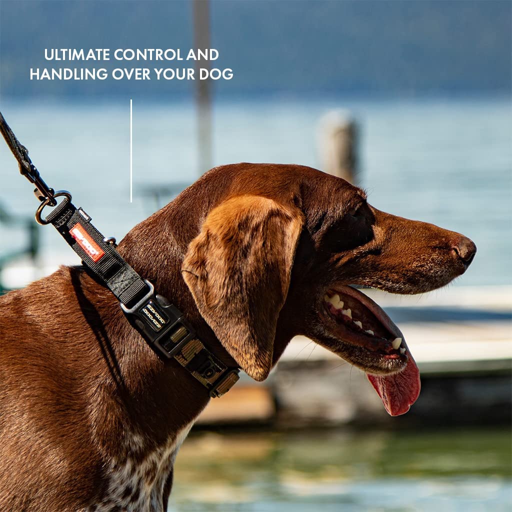 Ezydog Checkmate Martingale Collar For Dogs – Premium Nylon Training Dog Collar For Easy Control With No Choking (Large, Black)