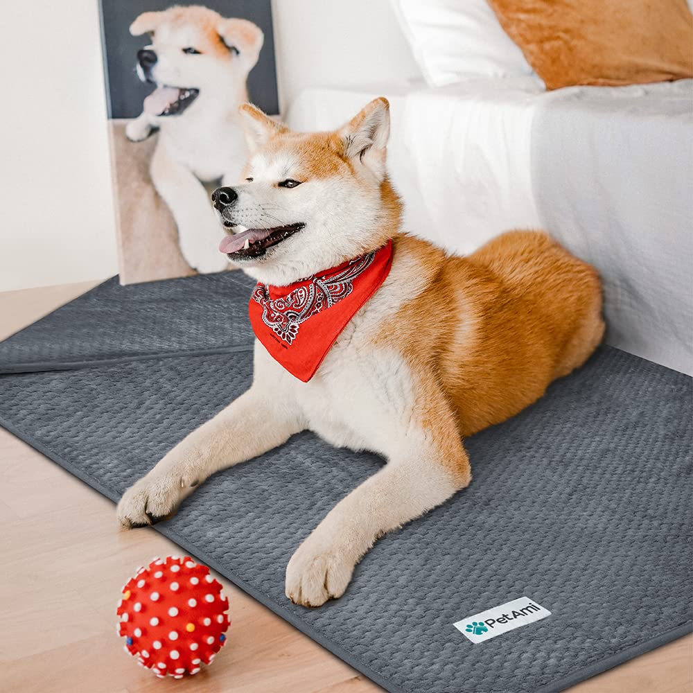 PetAmi Waterproof Dog Blanket, Leakproof Puppy Blanket for Small Medium Dogs, Furniture Sofa Couch Cover Protector, Fleece Pet T