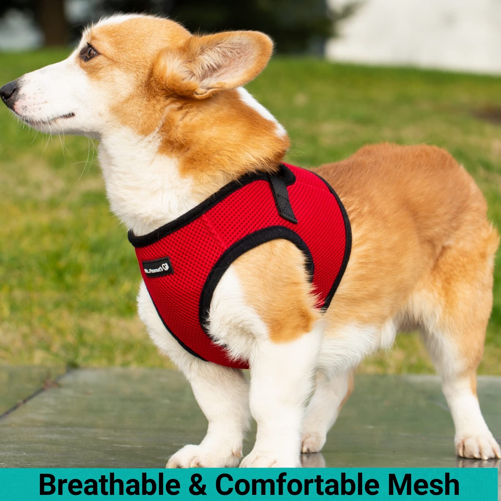 Mr. Peanut's PupTrek Small Dog/Cat Soft Mesh Step In Harness Vest