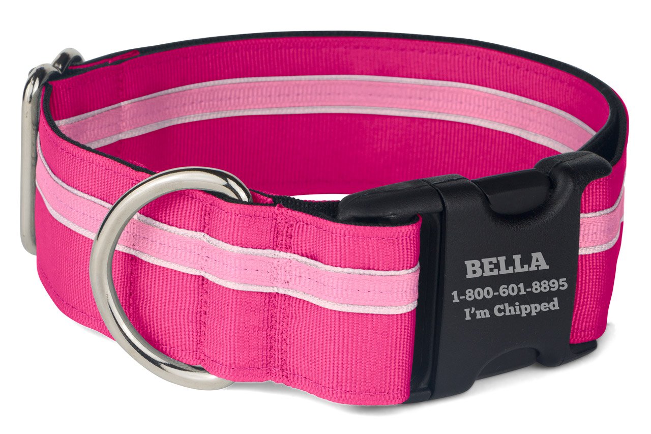 If It Barks Personalized 1.5 Striped Dog Collar - Engraved Name - Custom Size, Bubble Gum