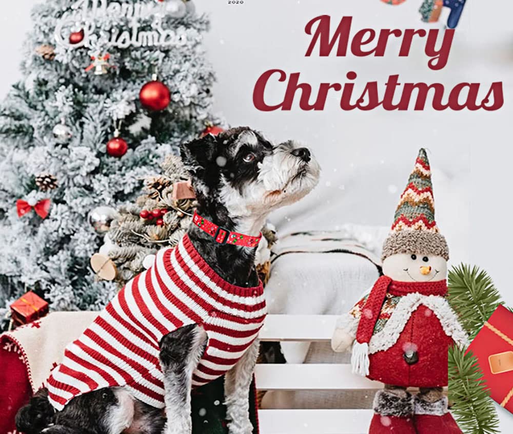 Mihqy Christmas Dog Collar - Premium Adjustable Dog Collar For Small Medium Large Dogs (Christmas,S)