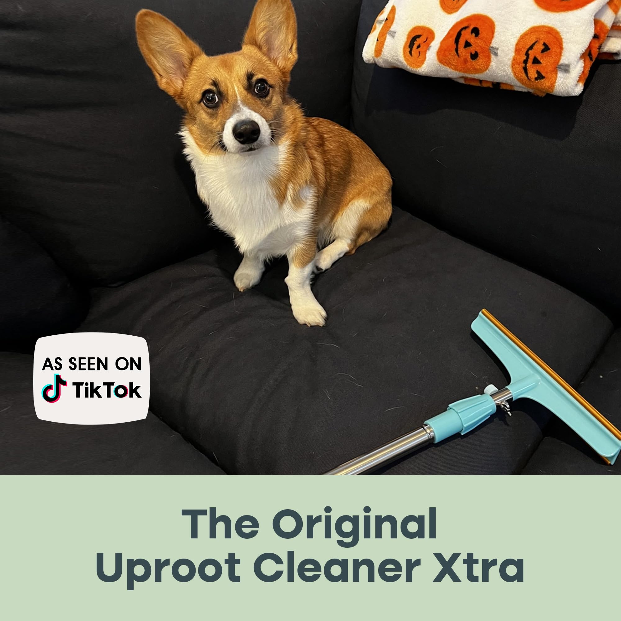 Uproot Clean Xtra - Pet Hair Removal Broom - Telescopic 60' Handle & Reusable Design - Like An Uproot Cleaner Pro Pet Hair Remover, But Created To Be An Excellent Carpet Rake For Pet Hair Removal