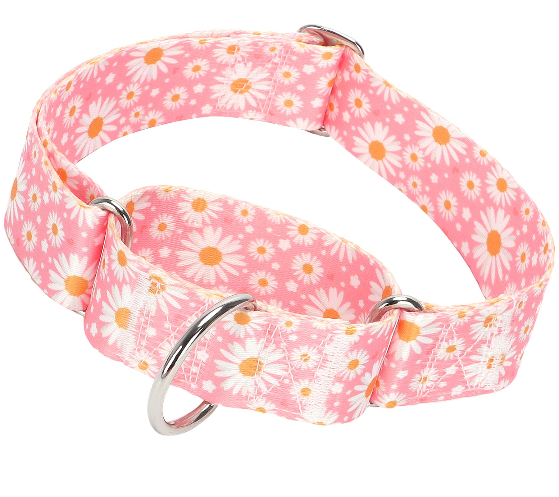 Wide Martingale Collar For Dogs -1.5 Inch Dog Training Collar - Big, & Thick Dog Collar - Escape-Proof, Durable And Comfortable 
