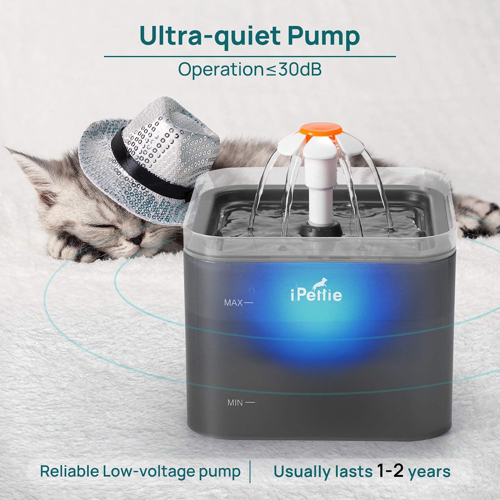iPettie Neverland Cat Water Fountain with LED Light, 67oz/2.0L, Ultra Quiet Drinking Waterer, Automatic Filtered Water Dispenser