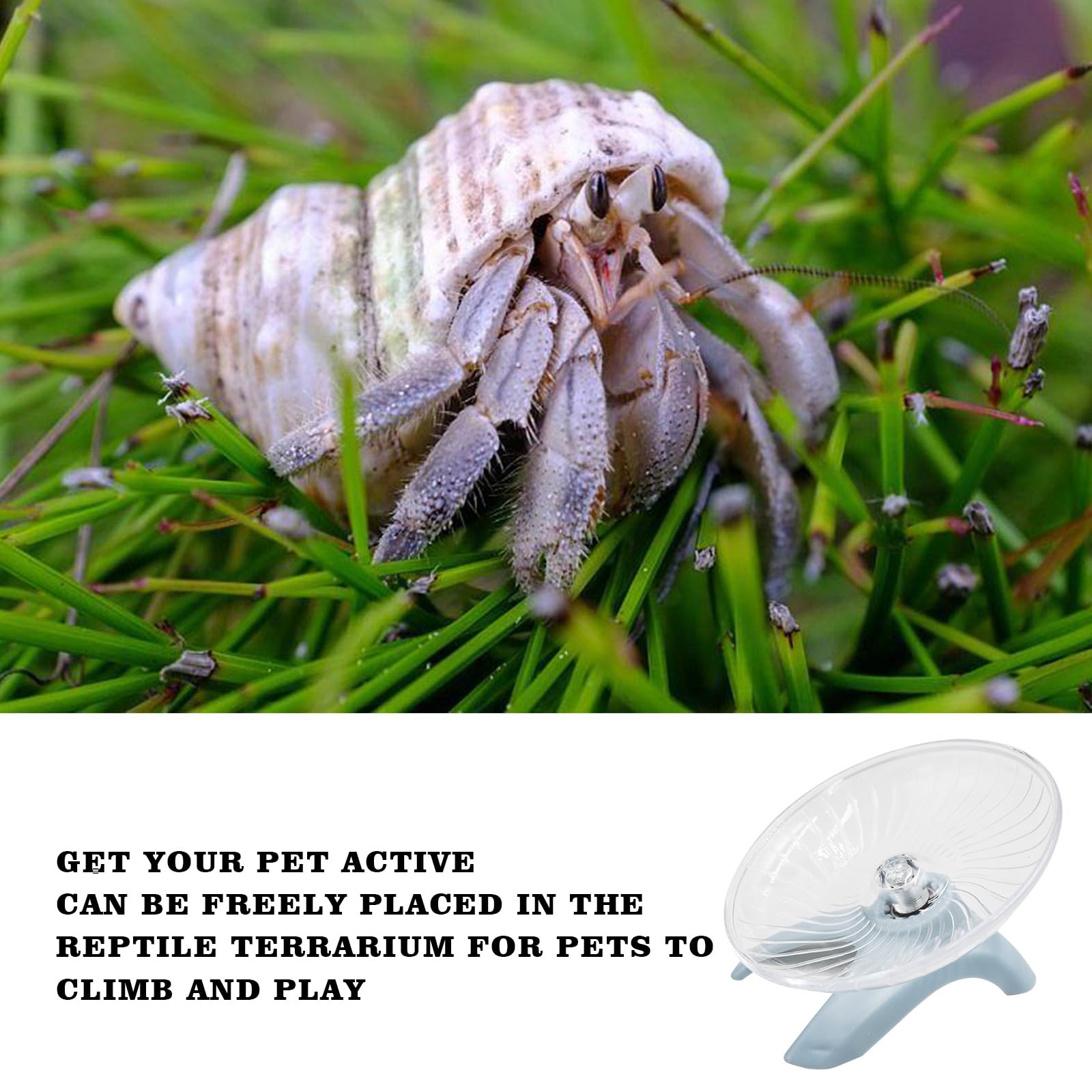 Hermit Crabs Wheel Toy, Hamster Running Wheel Toys, Small Animals Cage Accessory, Tank Accessory, Suitable for Hermit Crab Hamst