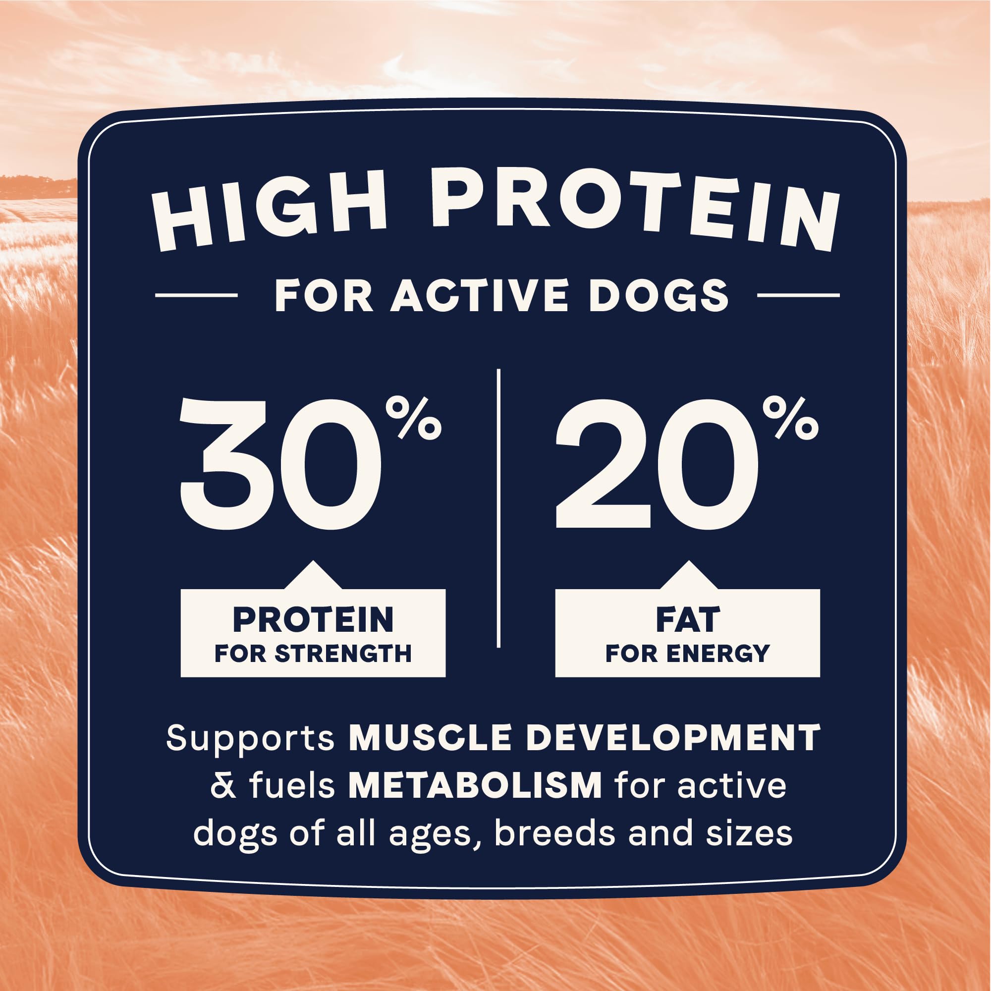 Canidae All Life Stages High Protein Multi-Protein Recipe with Chicken, Turkey, Lamb, and Fish - Premium Dry Dog Food for All Ag