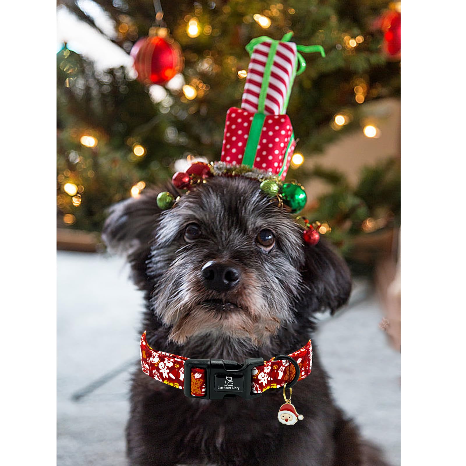 Lionheart Glory Christmas Dog Collar, Red Christmas Santa Deer Dogs Collar Adjustable Soft Comfortable Collars For Small Dogs Gi
