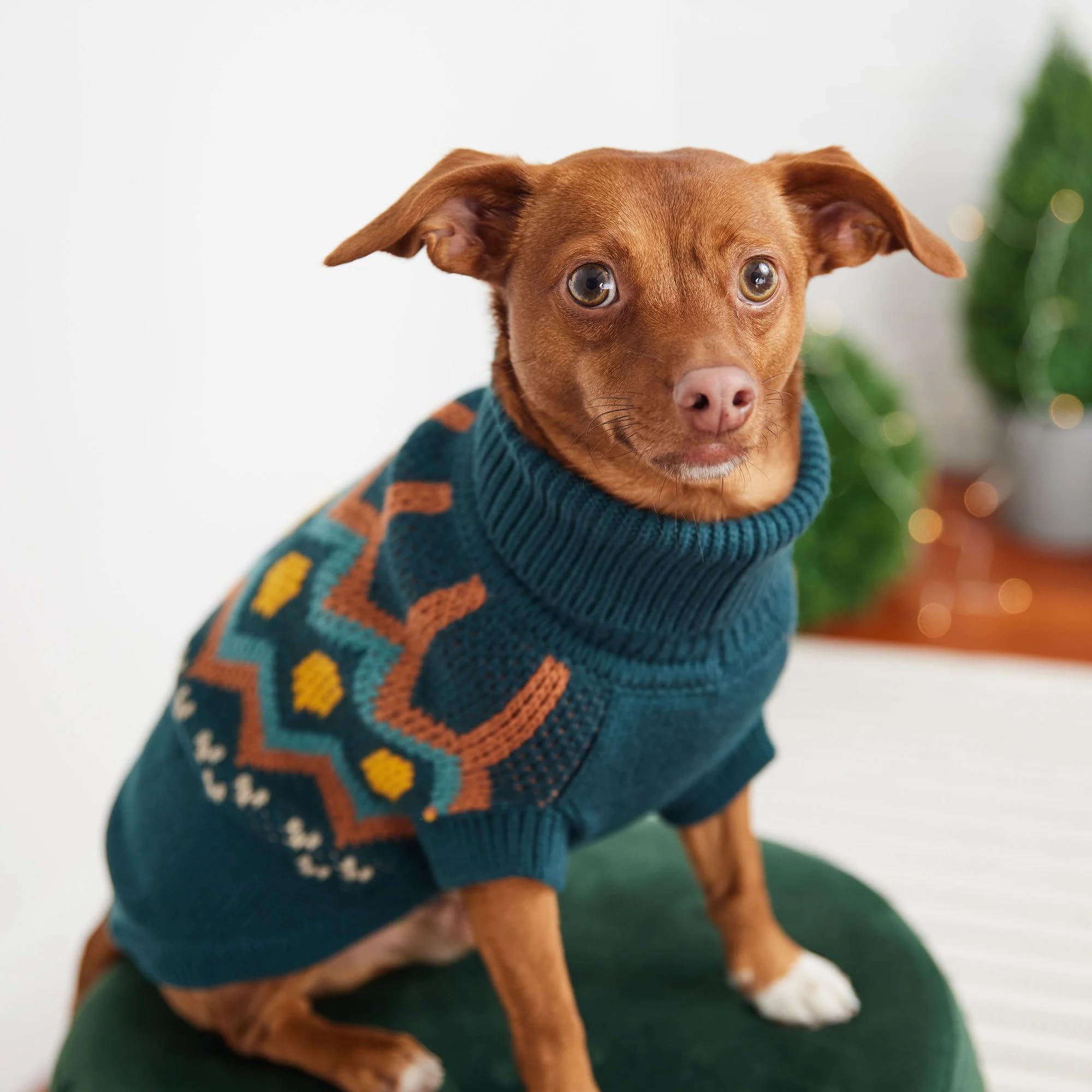 Gf Pet Heritage Sweater Dog Pullover ?Classic Ribbed Knit Sweater For Dogs | Soft & Warm Acrylic | Timeless Design | Small, Medium, Large Pets ?Teal, Xs