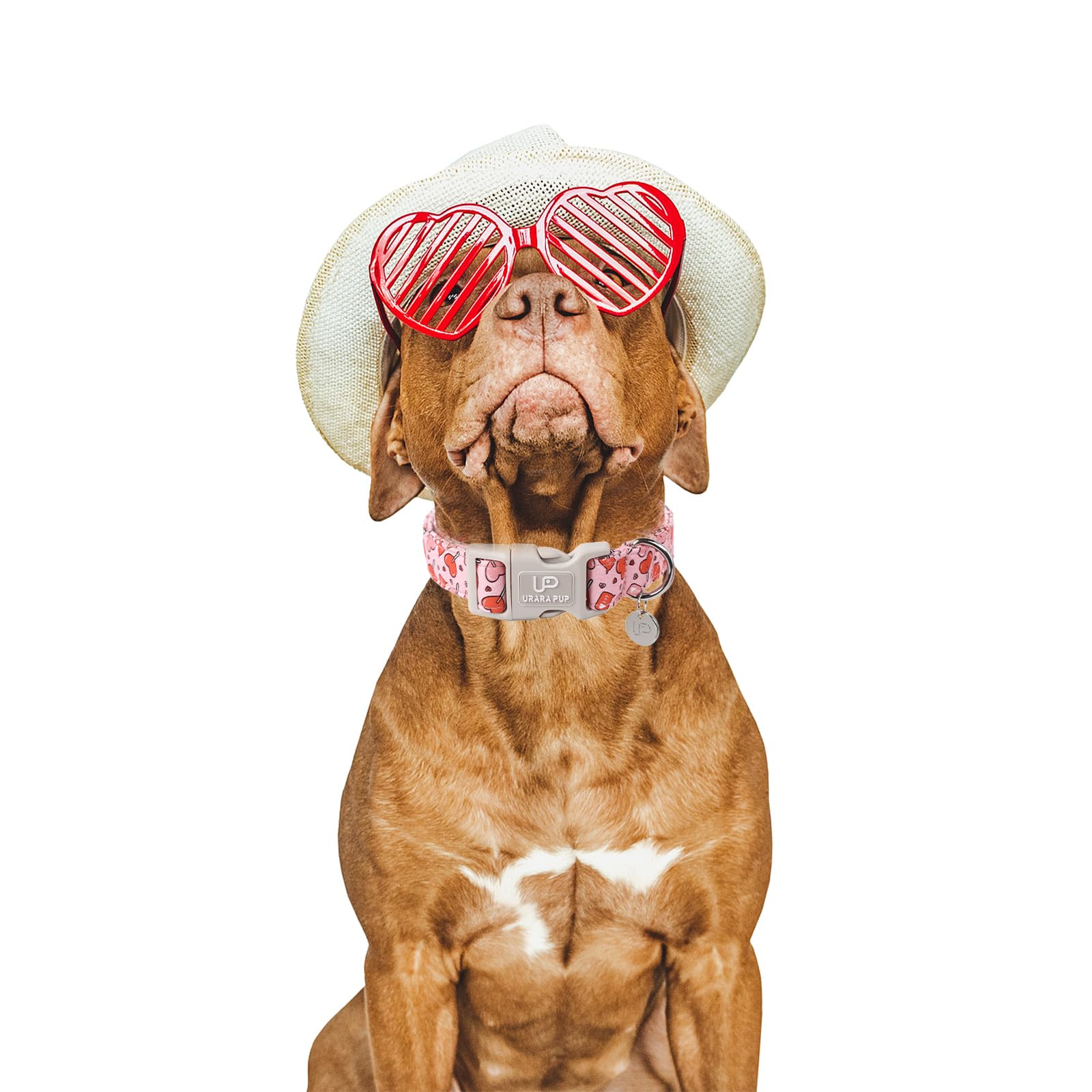 Up Urara Pup Pink Heart Dog Collar, Valentine'S Gift For Puppy, Wedding Collar, S Size, Cotton, All Breeds