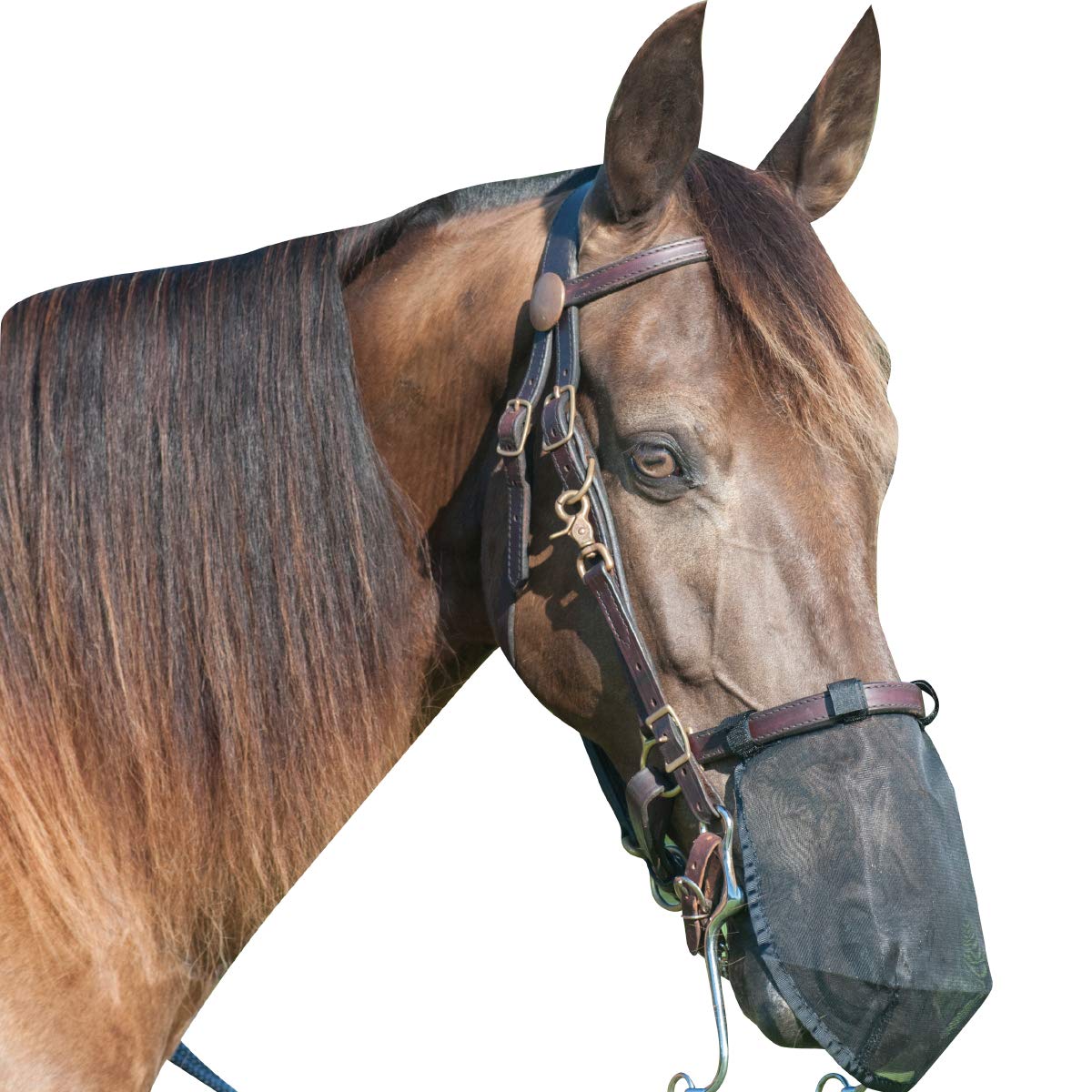 Cashel Quiet Ride Horse Fly Nose Net, Large