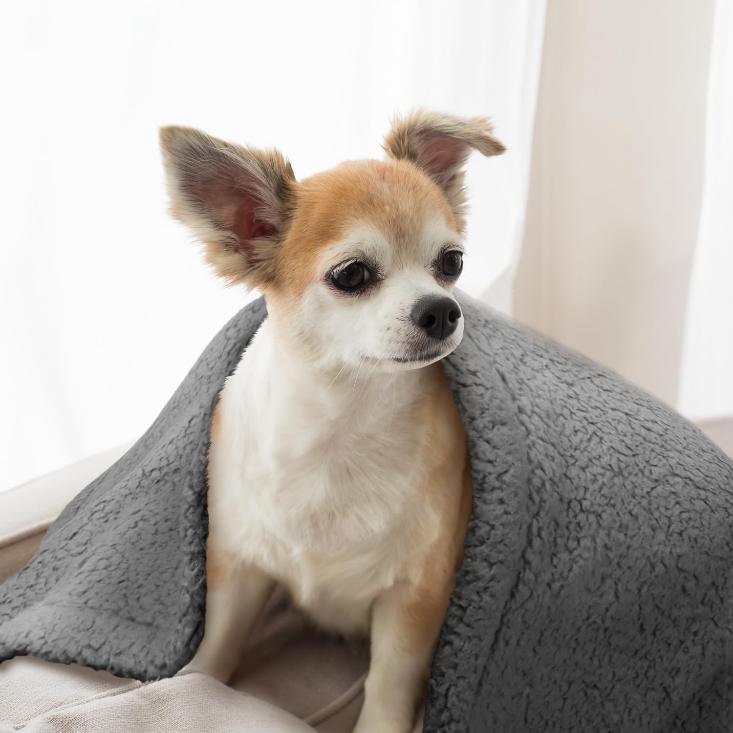 Furrybaby Dog Blanket Soft Dog Blankets For Large Dogs Puppy Essentials Washable Sherpa Fleece Cat Blanket 32X40 Inches For Bed