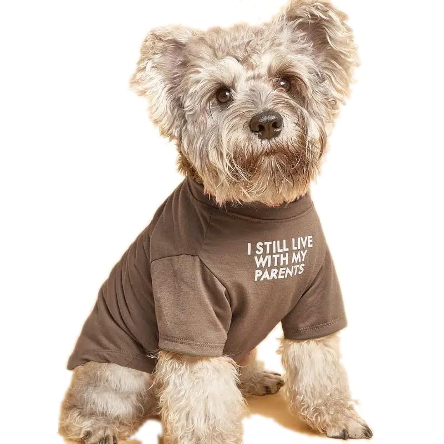 Cute Dog Clothes,Dog T Shirt For Medium Dogs.Dog Clothes For Small Dogs Girl Boy,Puppy.Breathable Soft Dog Costume For Pet Dogs 