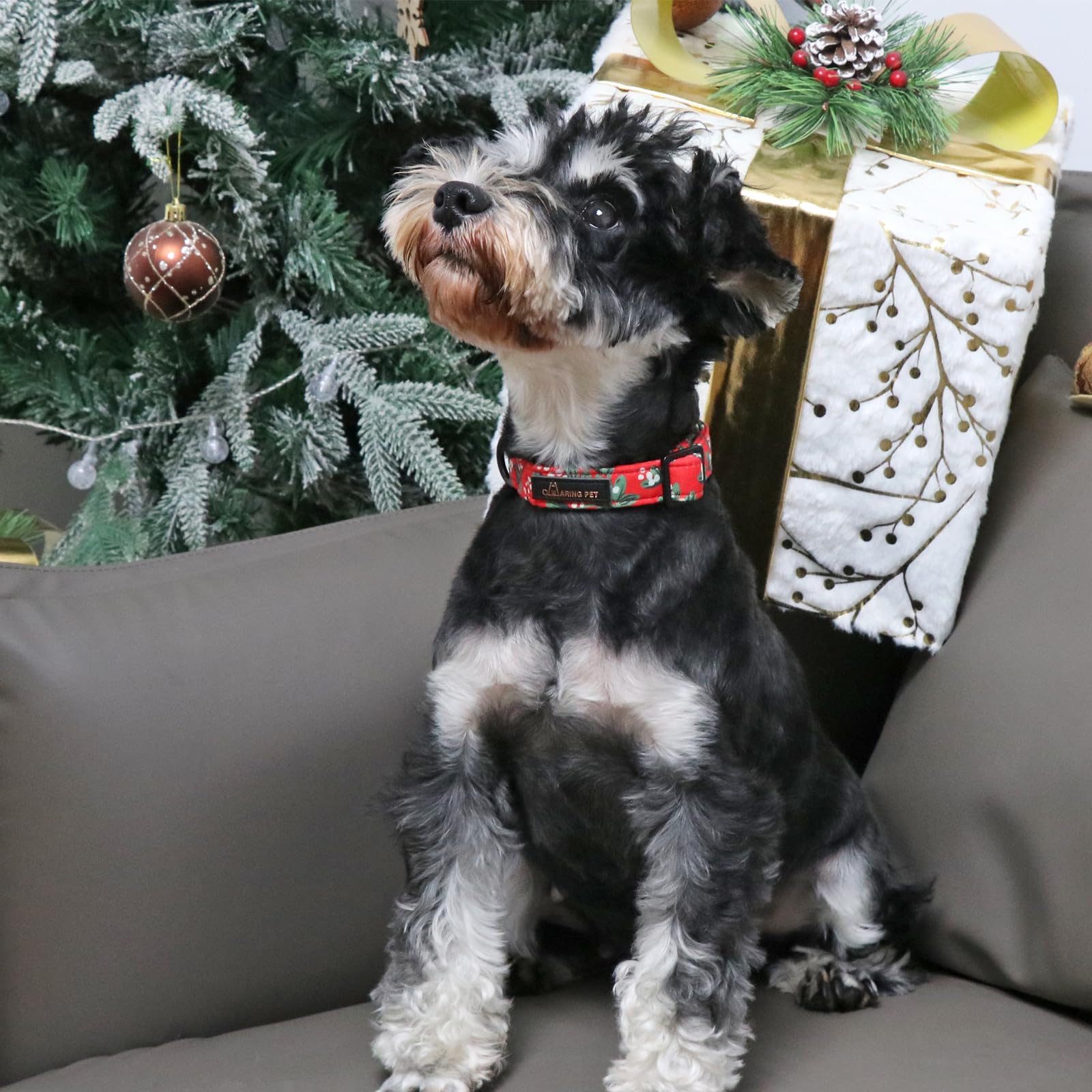 Aring Pet Christmas Dog Collar Cute Red Dog Collar, Adjustable Cotton Christmas Small Dog Collars Puppy Collar For Small Medium Large Dogs