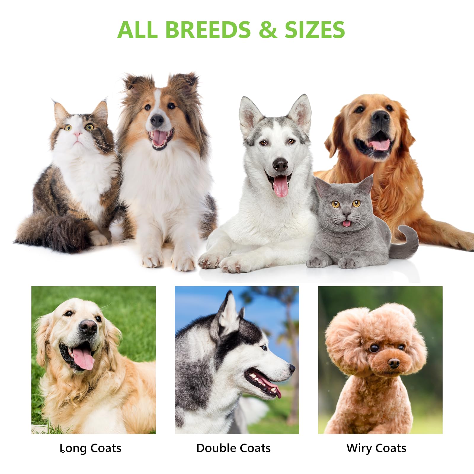 Staltwo Pet Grooming Supplies - 2-In-1 Professional Undercoat Rake And Pet Brush | Shedding Control For Long-Haired Dogs And Cat