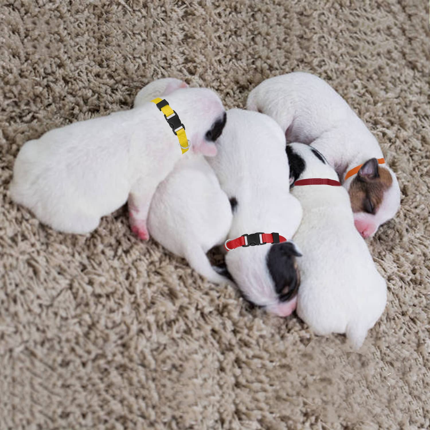 14 Pack Puppy Collars For Litter,Adjustable Puppy Id Collars Breakaway Safety Whelping Collars For Small Puppies,Soft Nylon Identification Collar Pet Supplies For Newborn Litter Puppy Pets