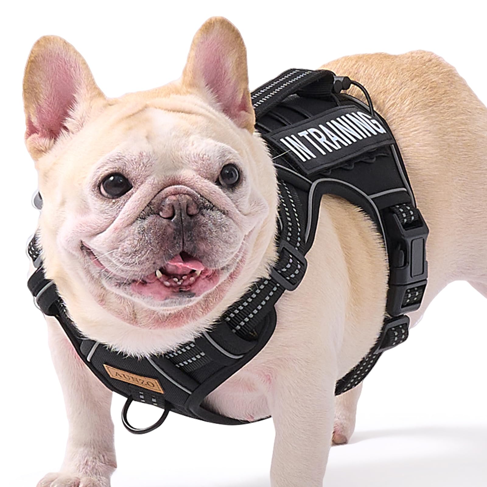 Dog Harness For Small Dog Breeds, Non Pulling Escape Proof Black Reflective Puppy Vest Harness With Handle, No Choke, Adjustable
