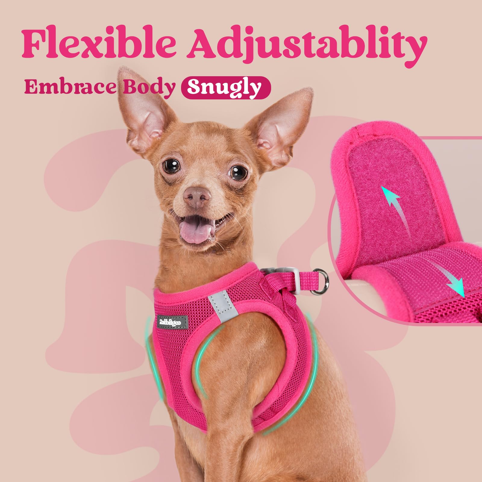 Rabbitgoo Small Dog Harness, Step-In Soft Mesh Puppy Vest, Easy Walk With Safety Buckle, Breathable Reflective Pet Harness For S