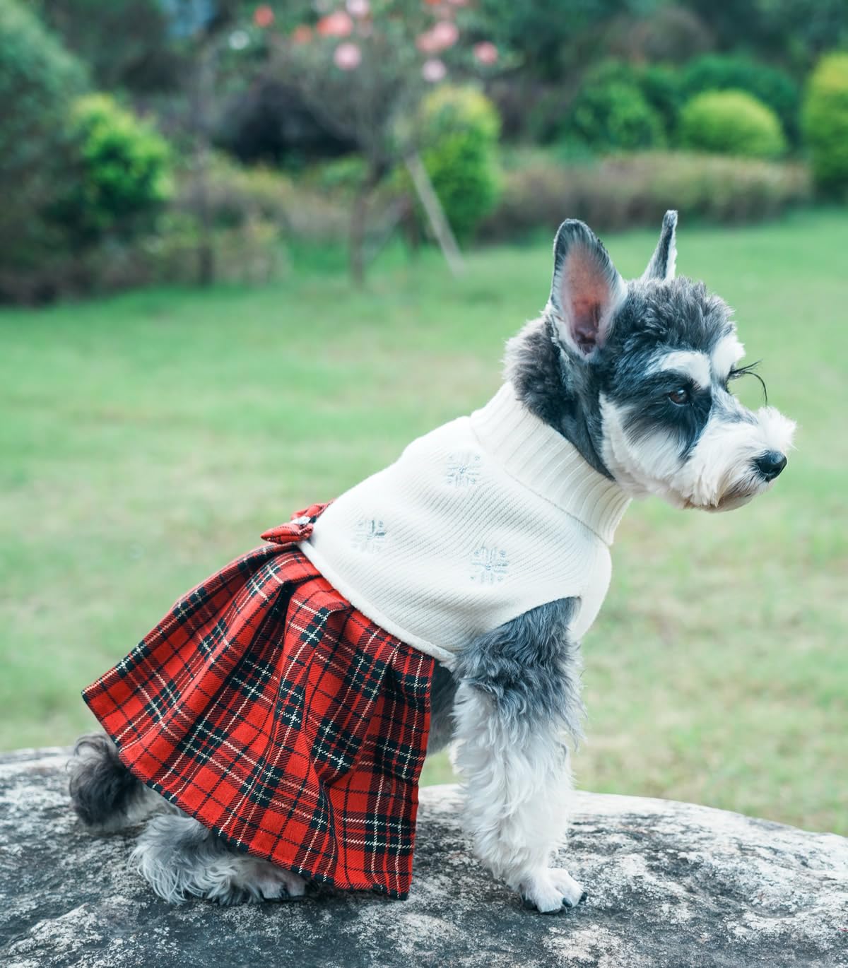 Lanyarco White Embroidery Snowflake Ugly Vintage Knit Reindeer Holiday Festive Christmas Dog Sweater Dress For Small Dogs, Small