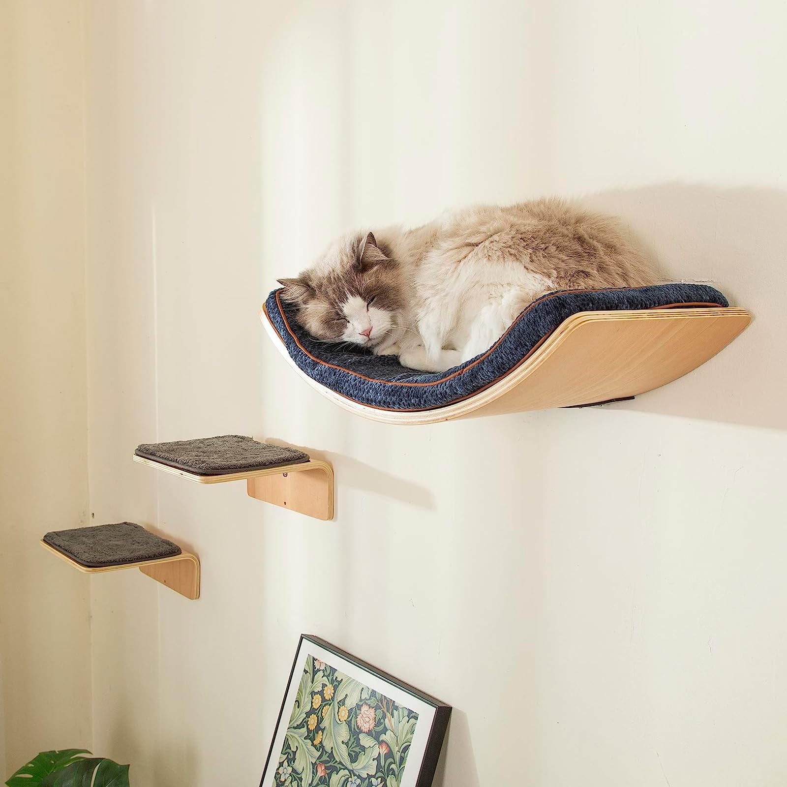 Liorce Cat Wall Shelf With Two Steps - Curved Cat Shelves And Perches For Wall (Large Size) - Wall Mounted Cats Furniture For Sl