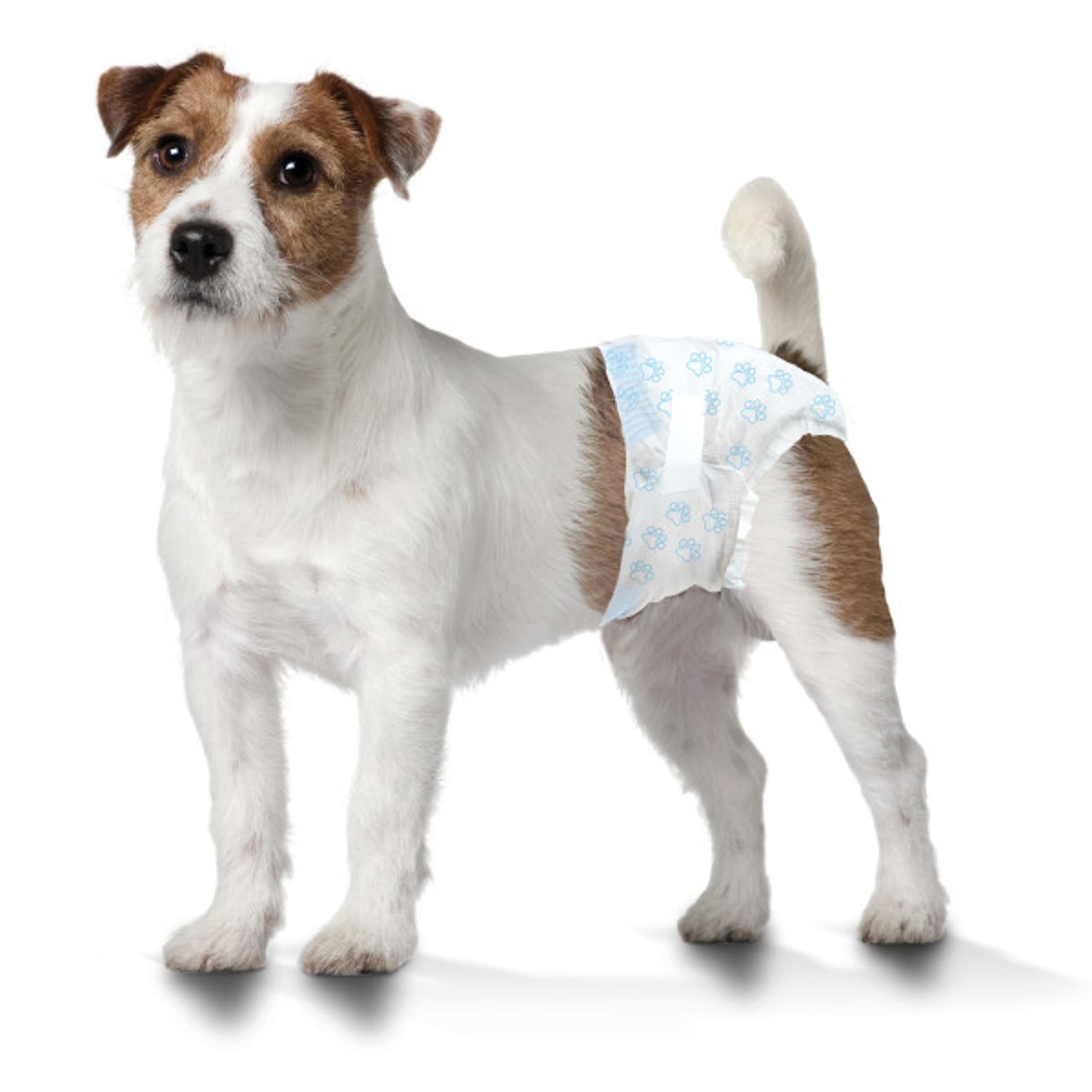 Four Paws Wee-Wee Super Absorbent Disposable Adjustable Dog Potty Training Diapers, Leak-Proof Protection for Puppies and Small