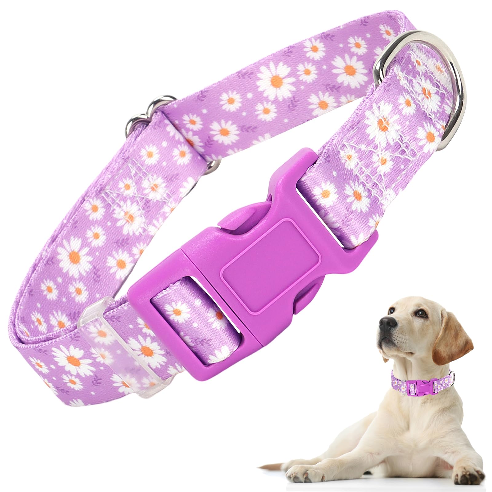 Purple Dog Collars For Small Dogs, Cute Girl Dog Collar With Daisy Flowers Pattern, Adjustable Heavy Duty Pet Collar With Safety
